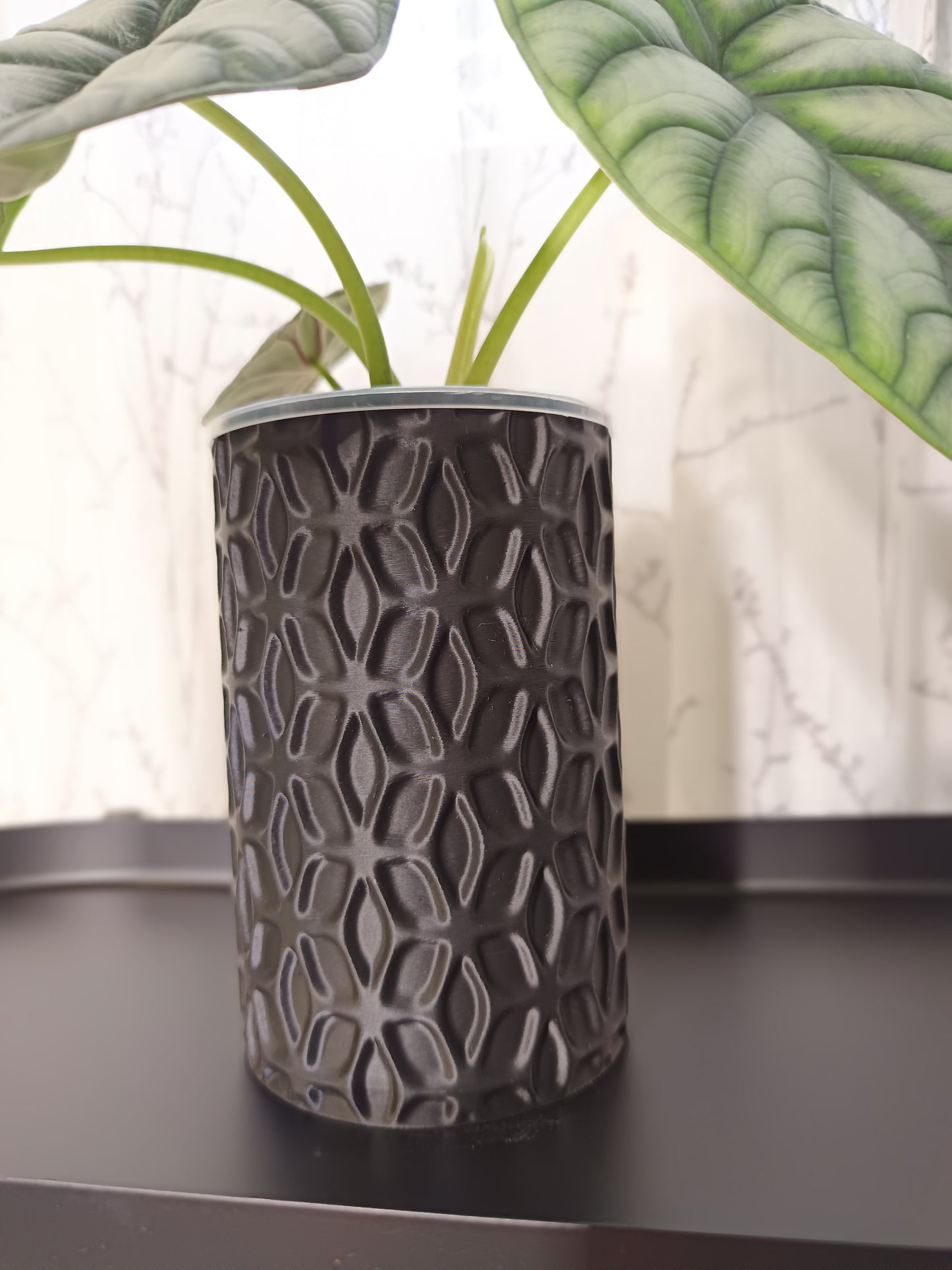 NestPot – Decorative Cage Cover for Aroid Nursery Pots