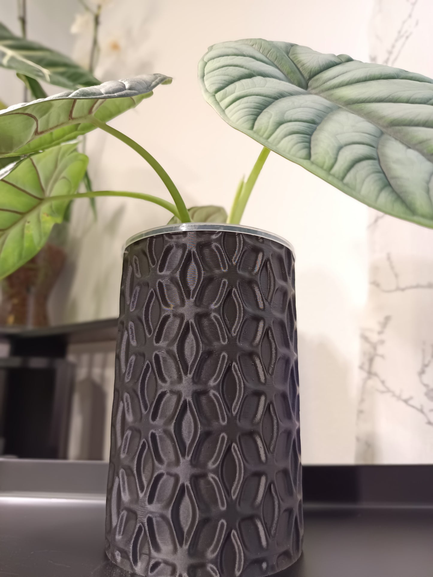 NestPot – Decorative Cage Cover for Aroid Nursery Pots