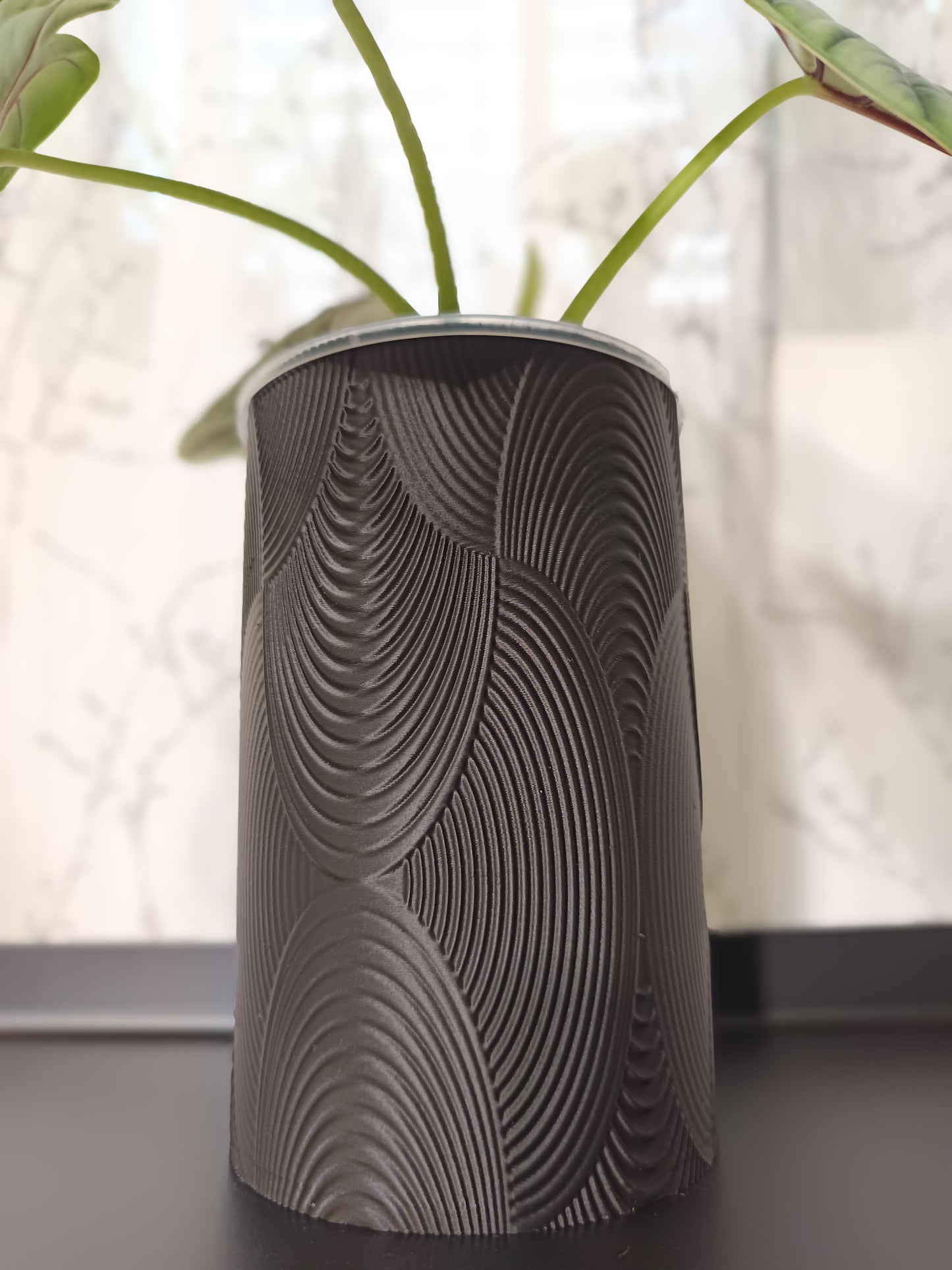 NestPot – Decorative Cage Cover for Aroid Nursery Pots