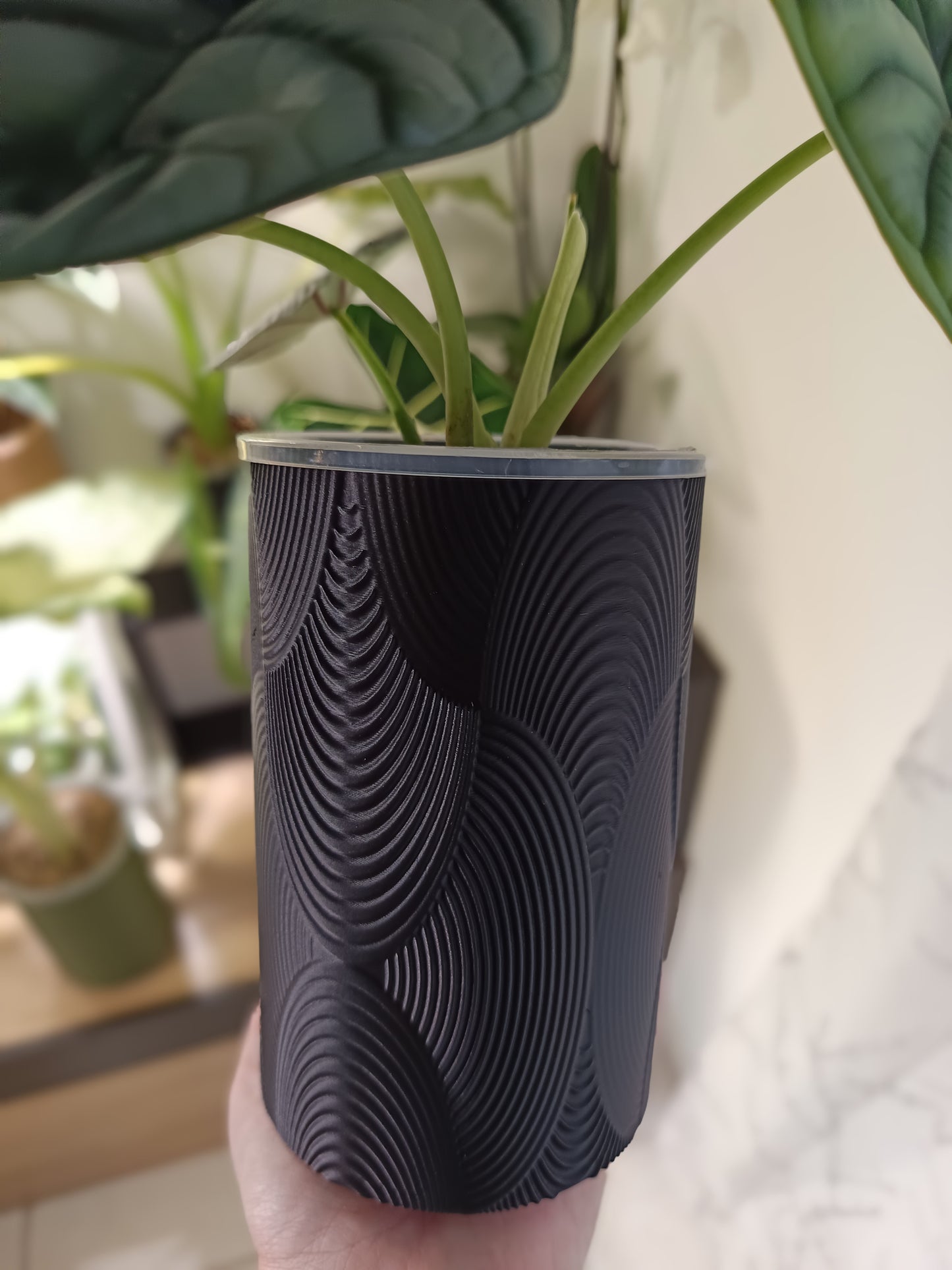 NestPot – Decorative Cage Cover for Aroid Nursery Pots