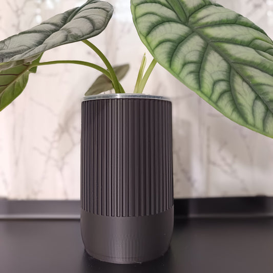 NestPot – Decorative Cage Cover for Aroid Nursery Pots