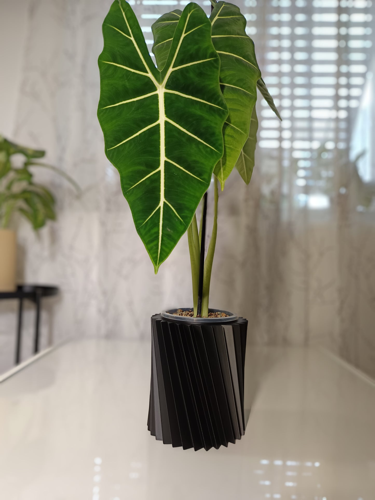 NestPot – Decorative Cage Cover for Aroid Nursery Pots