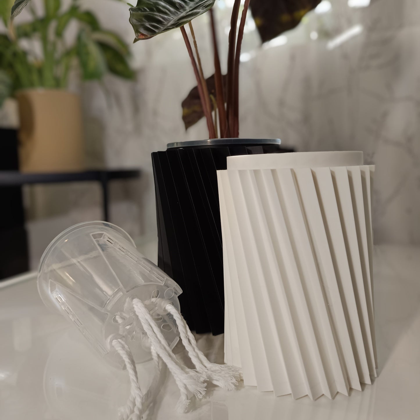 NestPot – Decorative Cage Cover for Aroid Nursery Pots