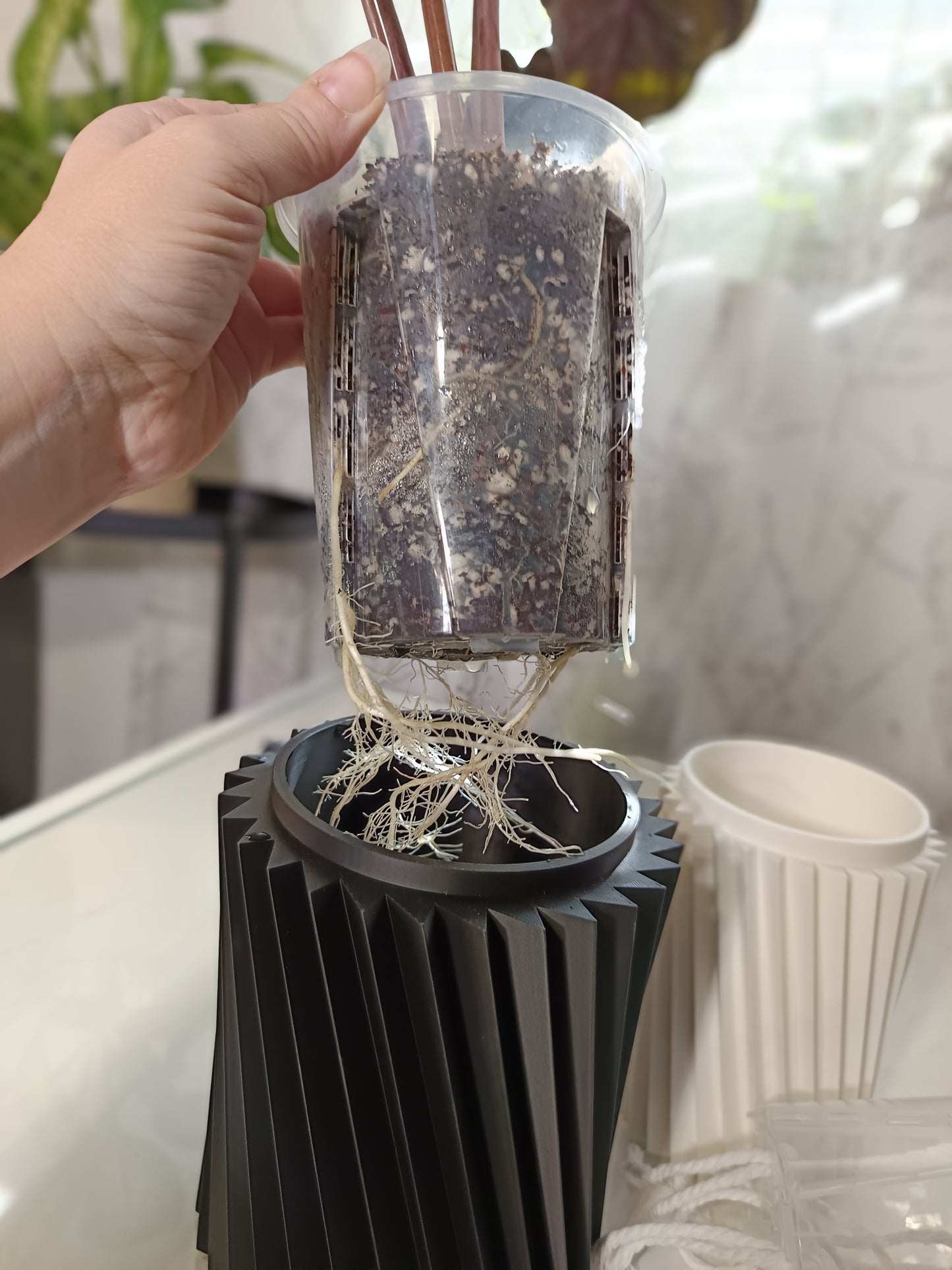 NestPot – Decorative Cage Cover for Aroid Nursery Pots