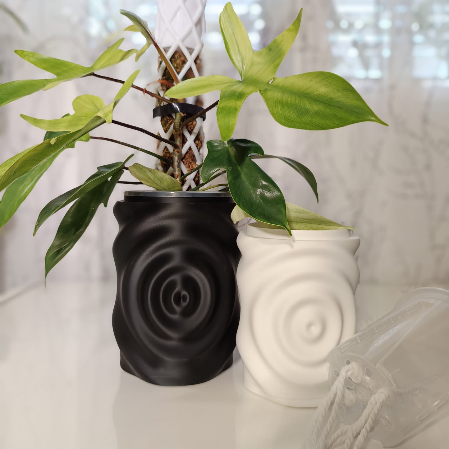 NestPot – Decorative Cage Cover for Aroid Nursery Pots