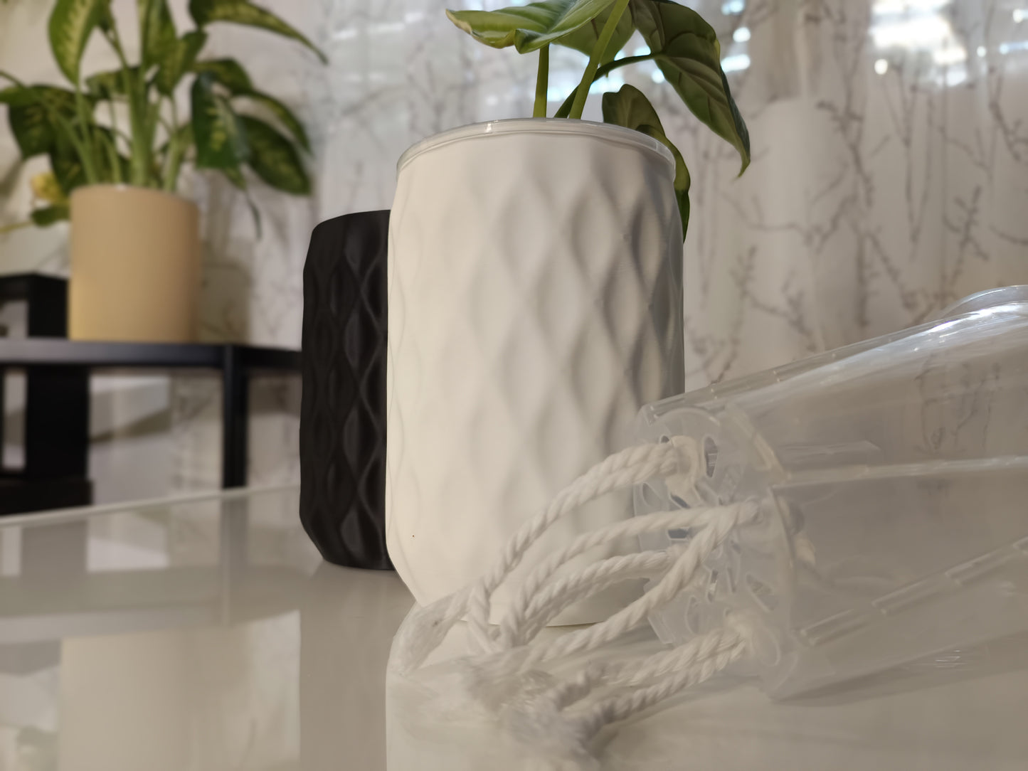 NestPot – Decorative Cage Cover for Aroid Nursery Pots