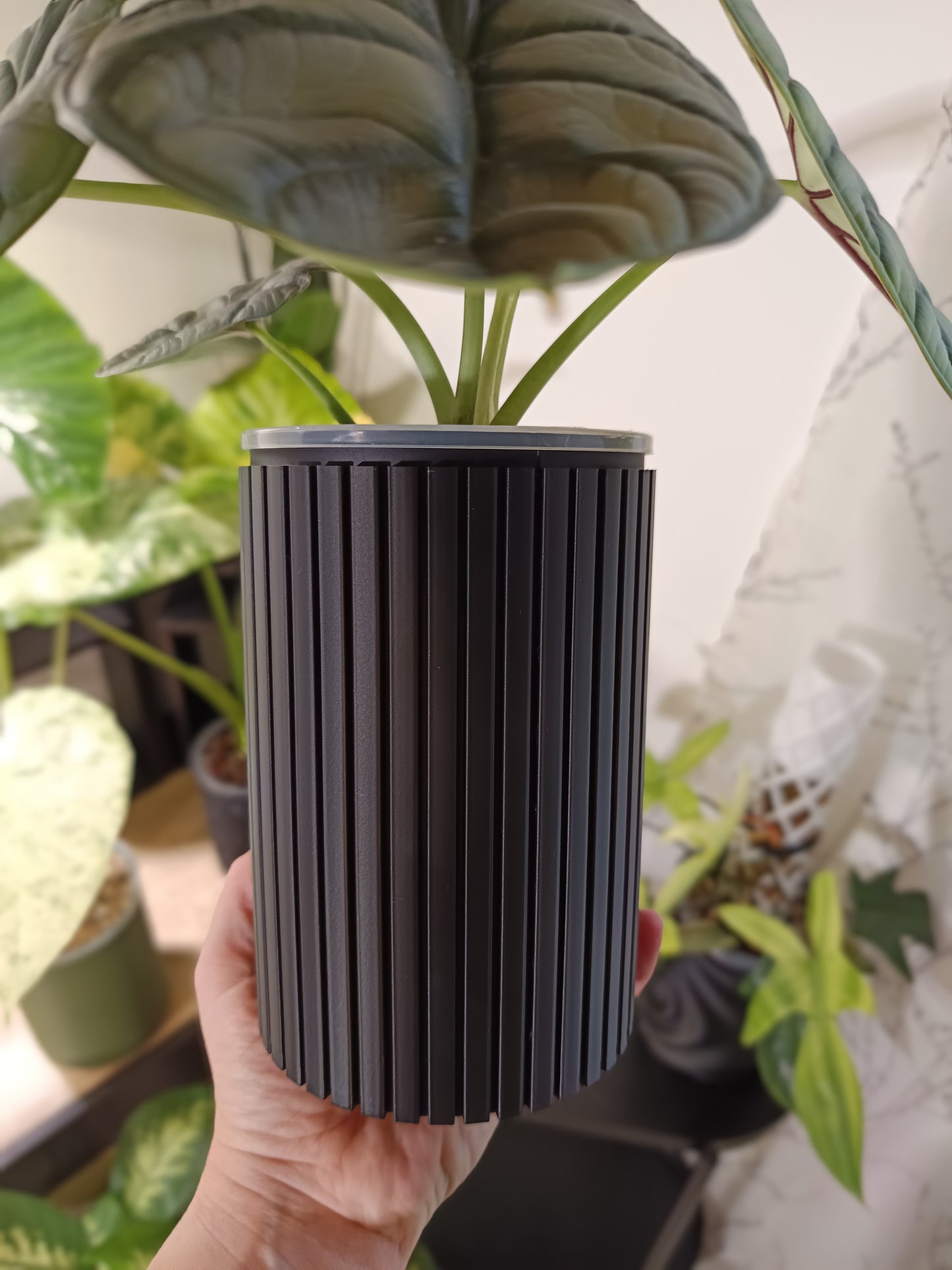 NestPot – Decorative Cage Cover for Aroid Nursery Pots