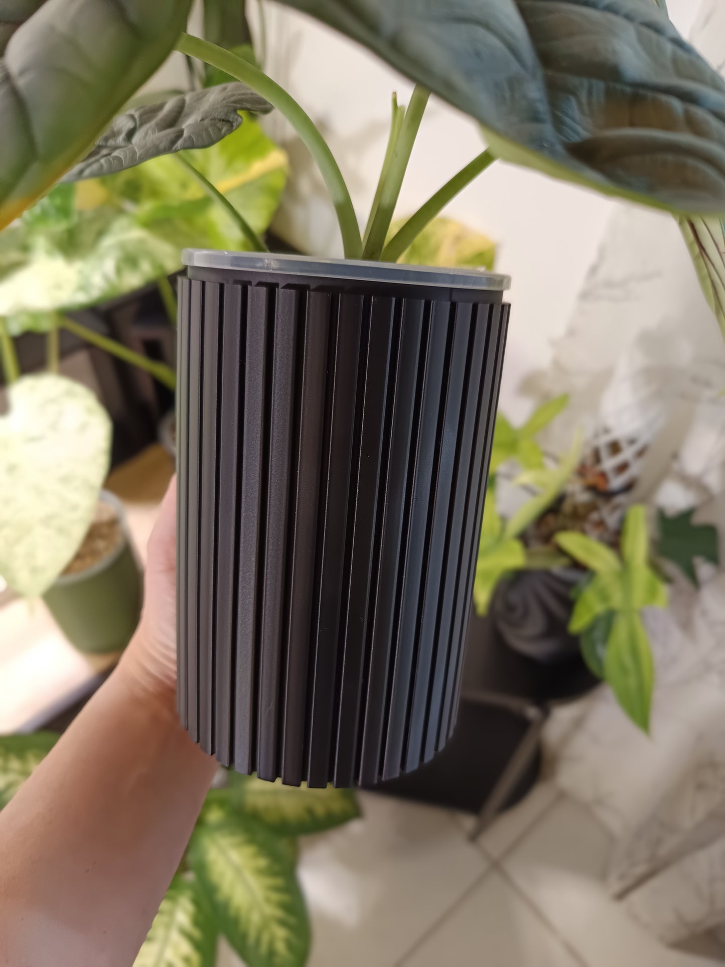 NestPot – Decorative Cage Cover for Aroid Nursery Pots