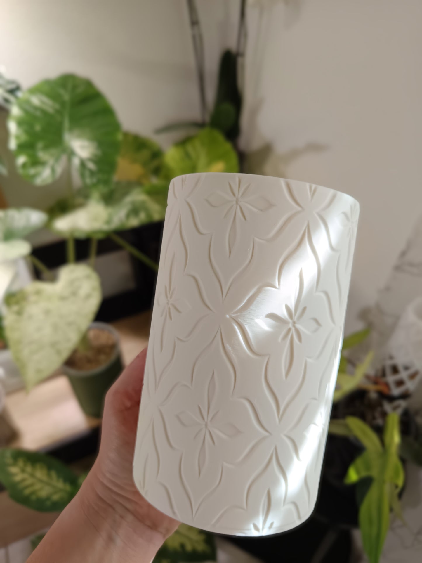 NestPot – Decorative Cage Cover for Aroid Nursery Pots