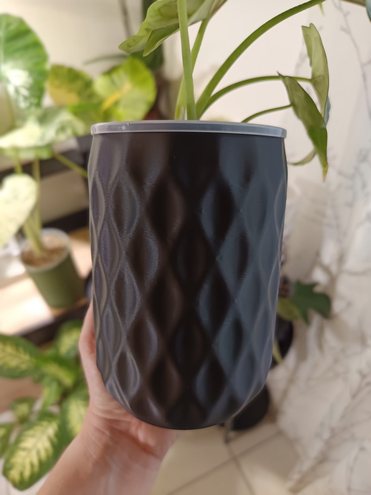 NestPot – Decorative Cage Cover for Aroid Nursery Pots