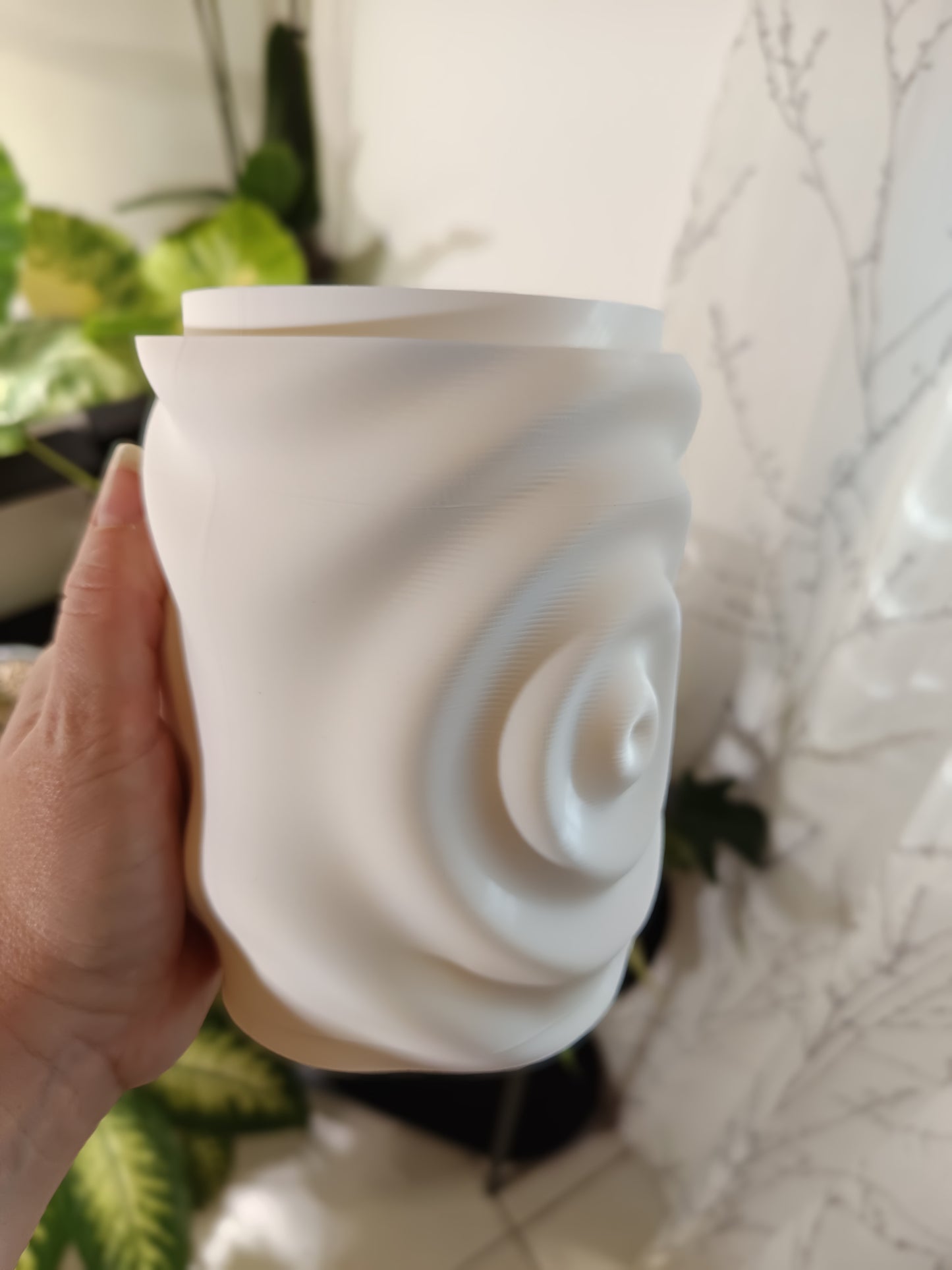 NestPot – Decorative Cage Cover for Aroid Nursery Pots