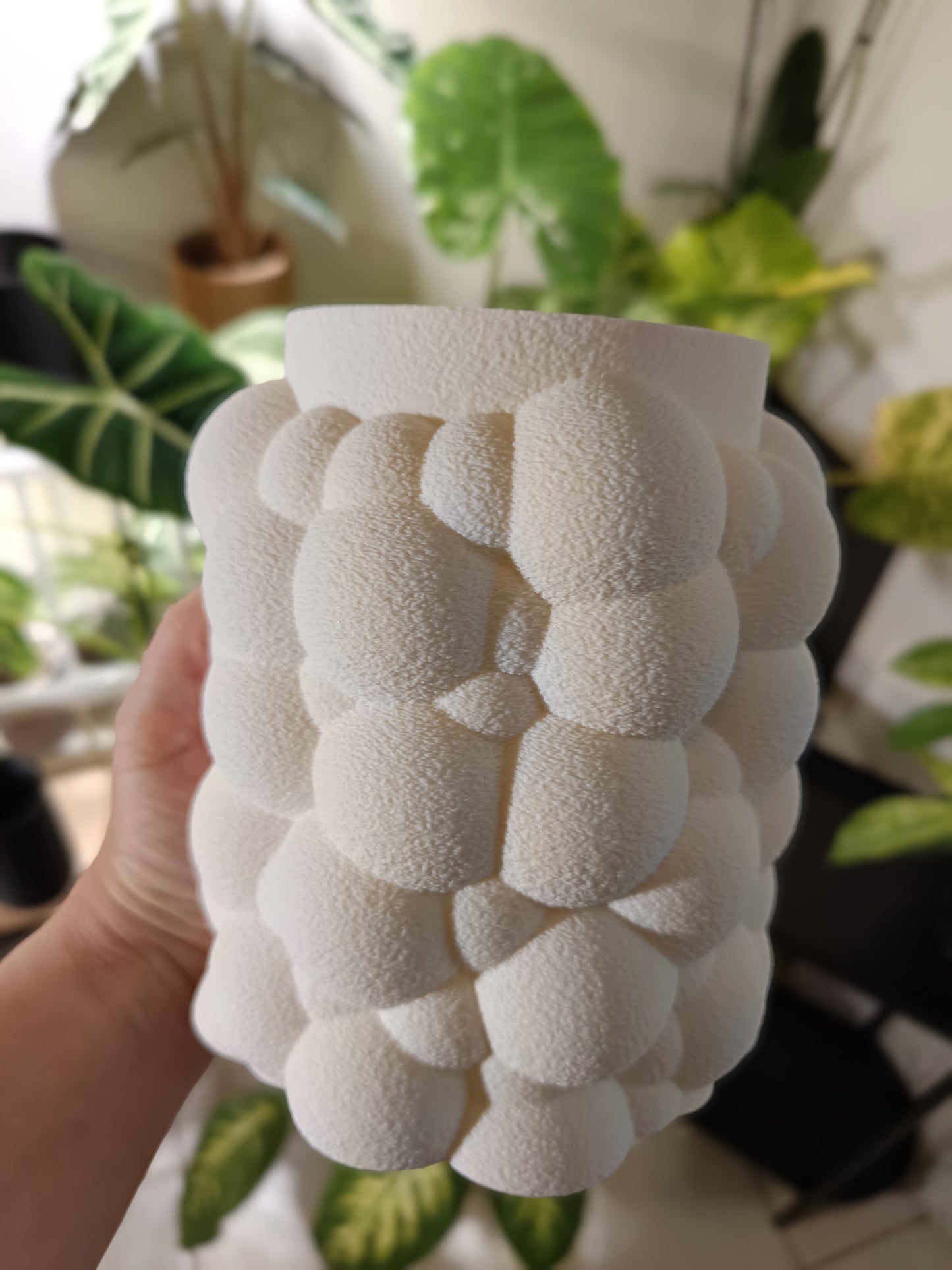 NestPot – Decorative Cage Cover for Aroid Nursery Pots