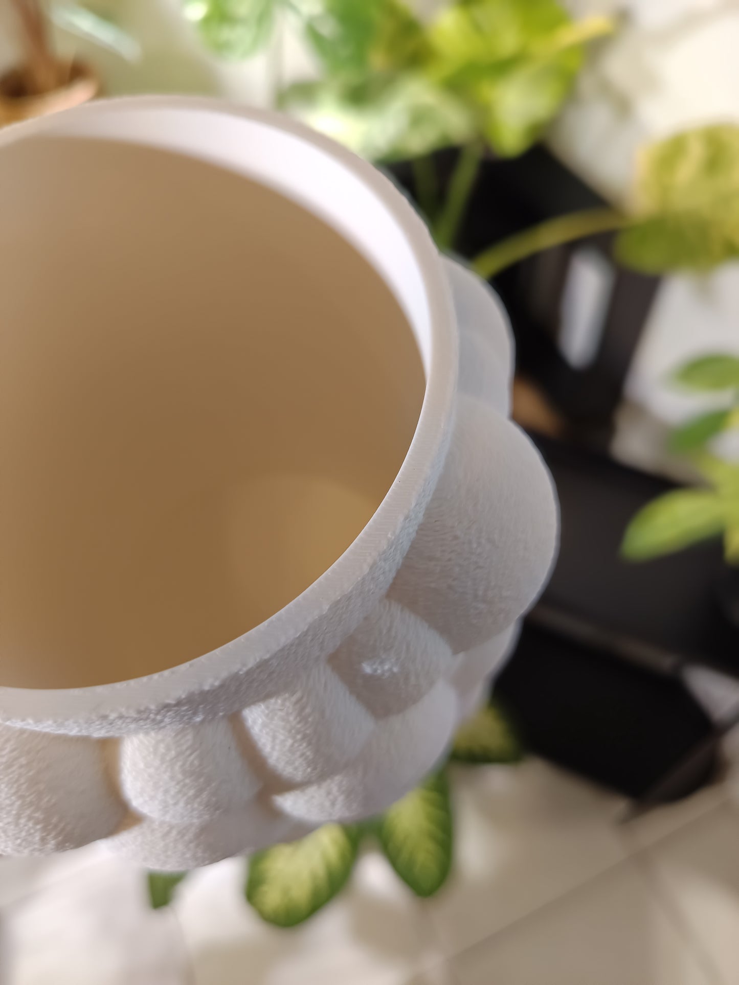 NestPot – Decorative Cage Cover for Aroid Nursery Pots