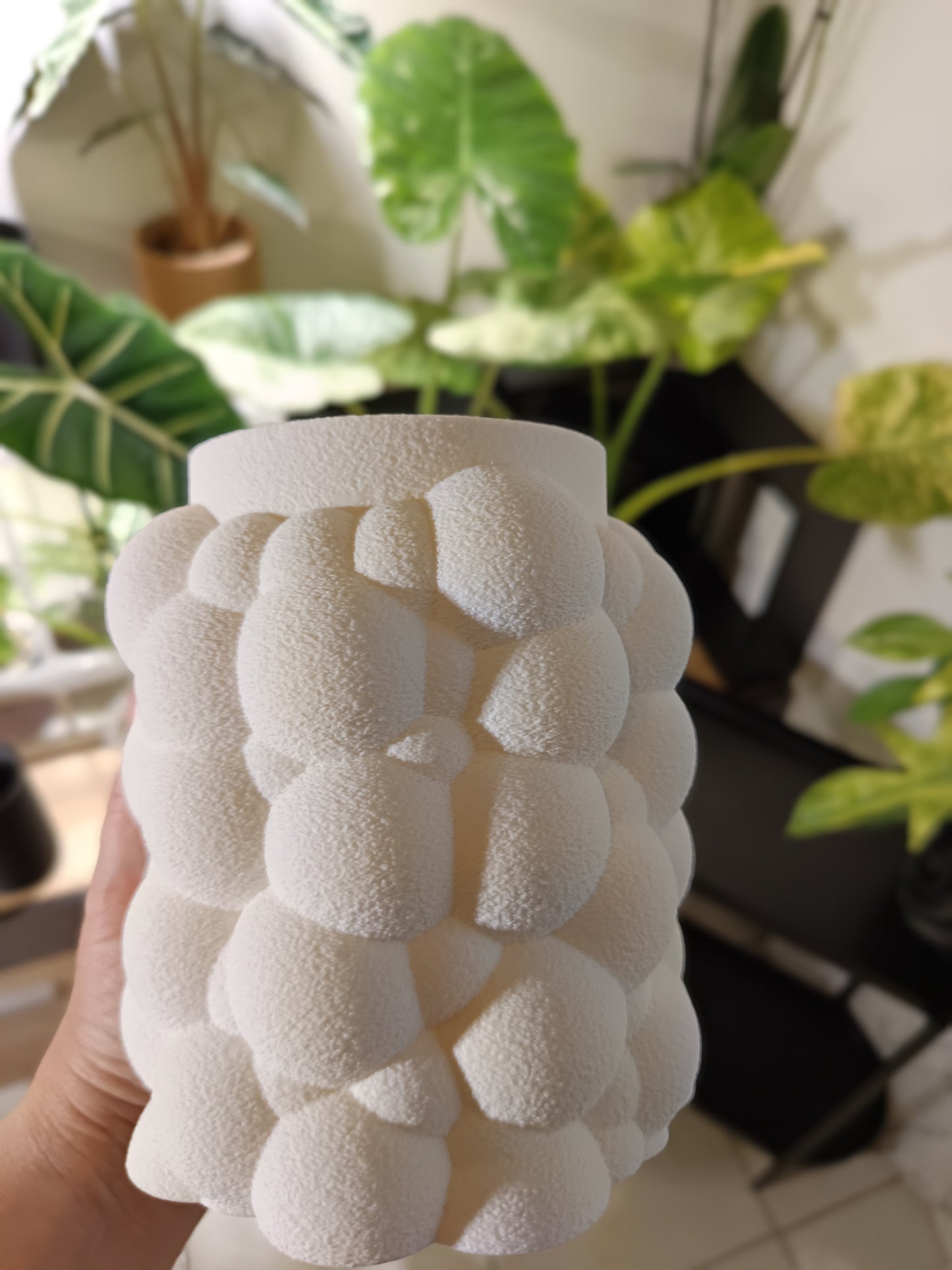 NestPot – Decorative Cage Cover for Aroid Nursery Pots