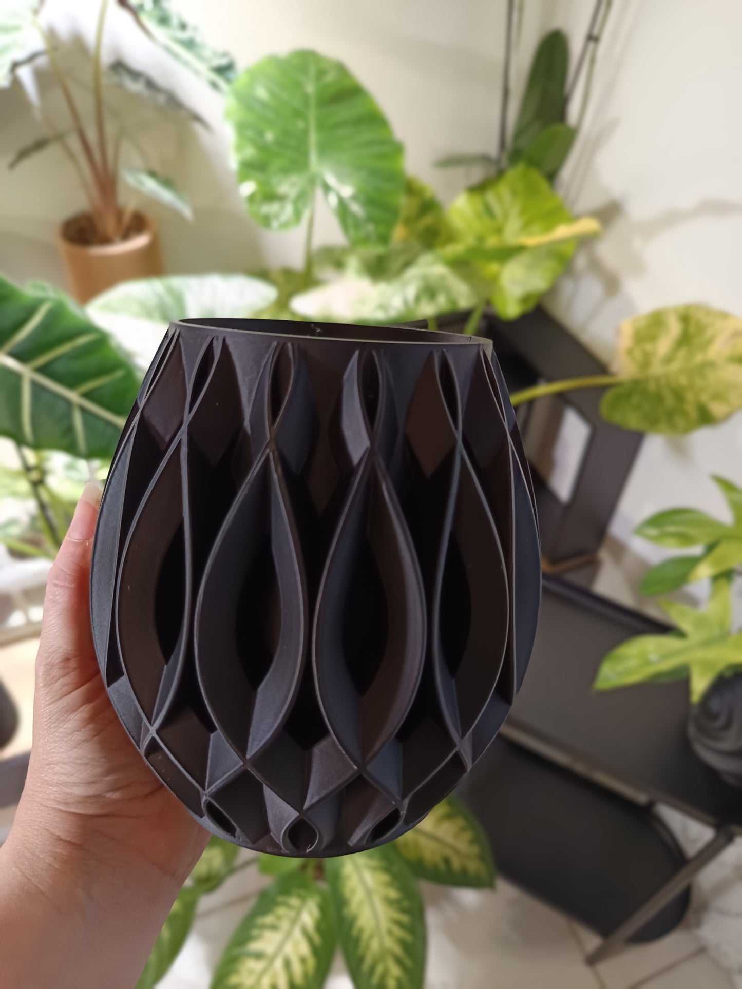 NestPot – Decorative Cage Cover for Aroid Nursery Pots