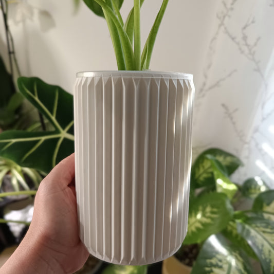 NestPot – Decorative Cage Cover for Aroid Nursery Pots