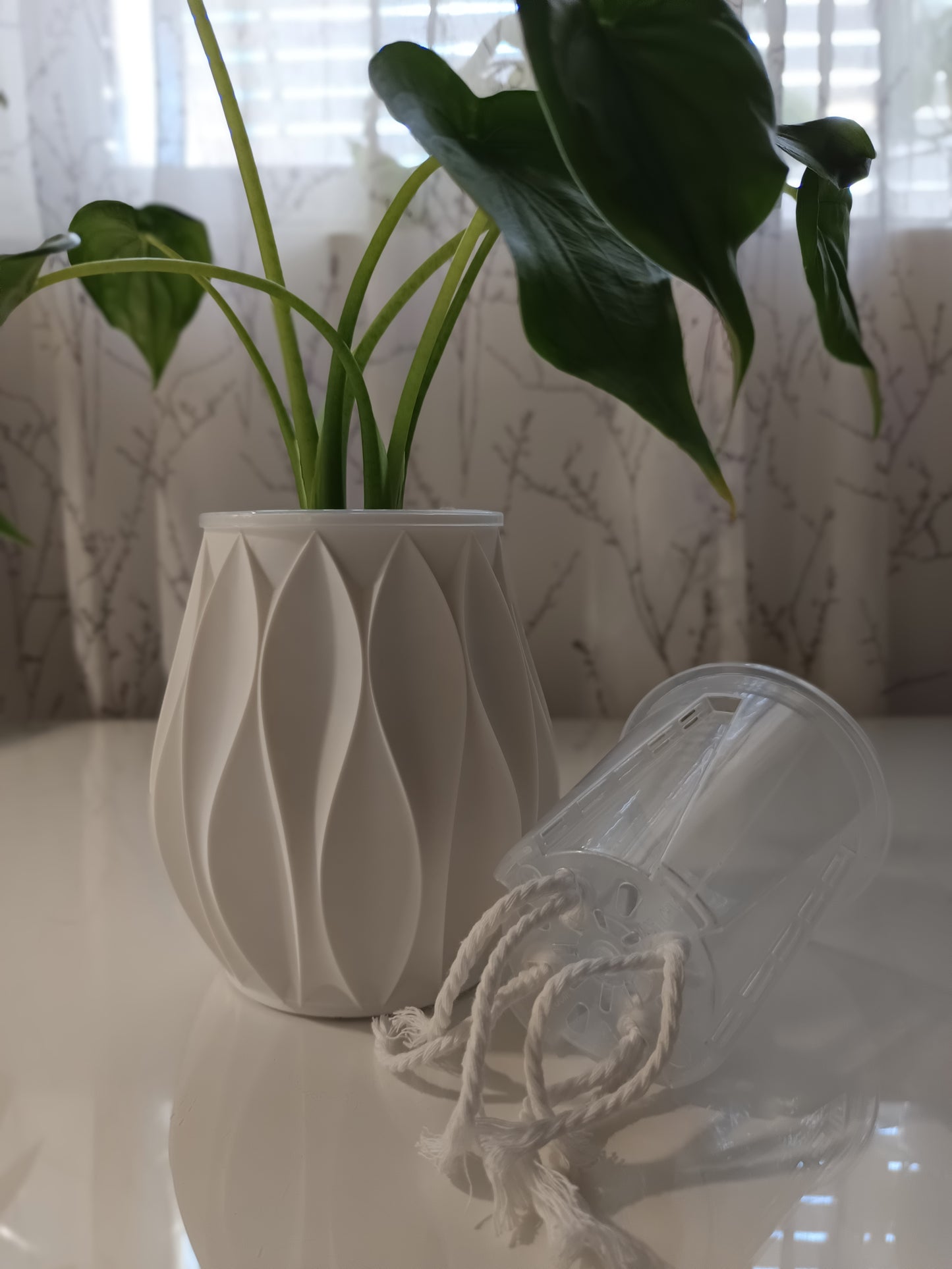 NestPot – Decorative Cage Cover for Aroid Nursery Pots