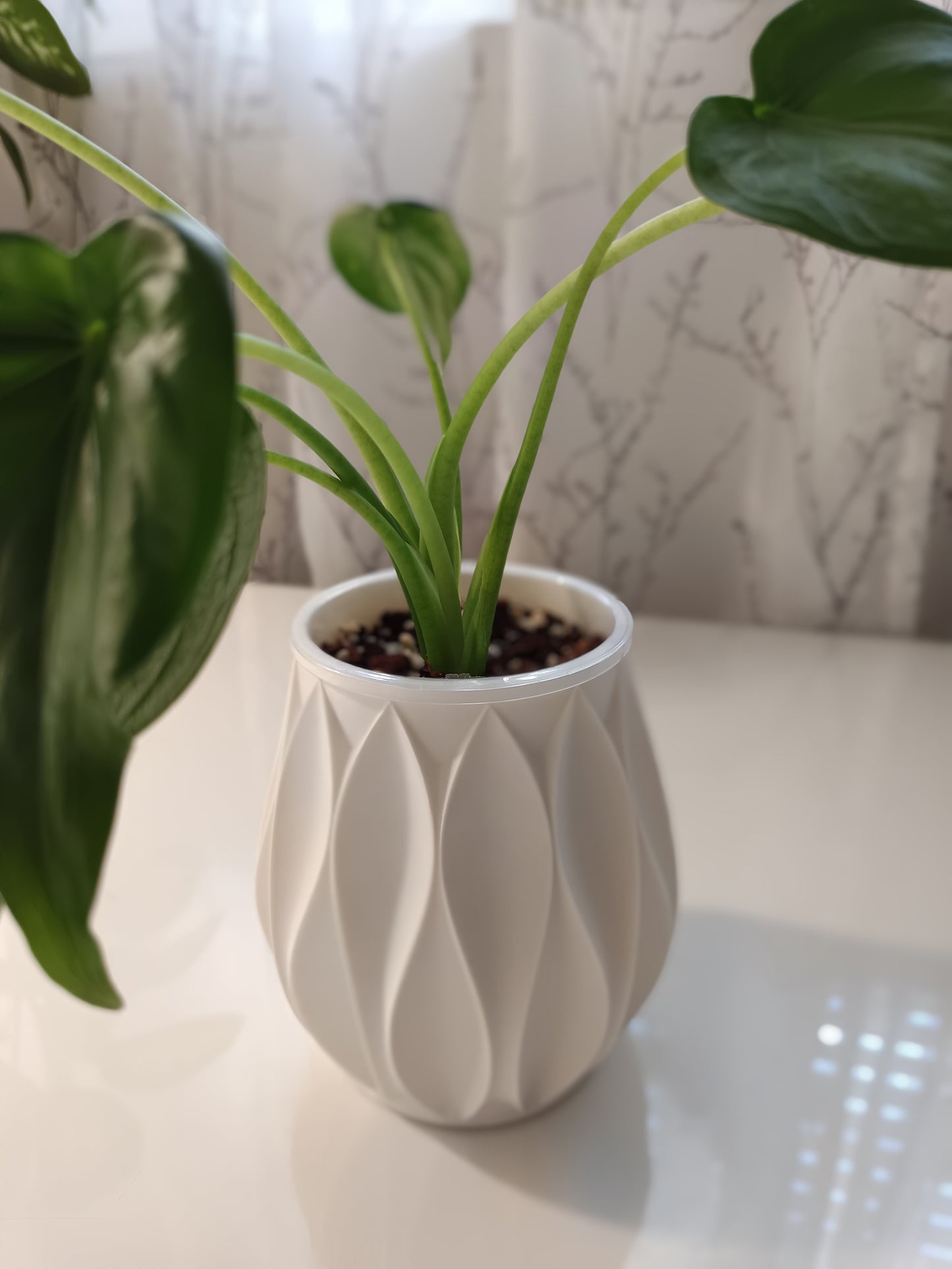 NestPot – Decorative Cage Cover for Aroid Nursery Pots