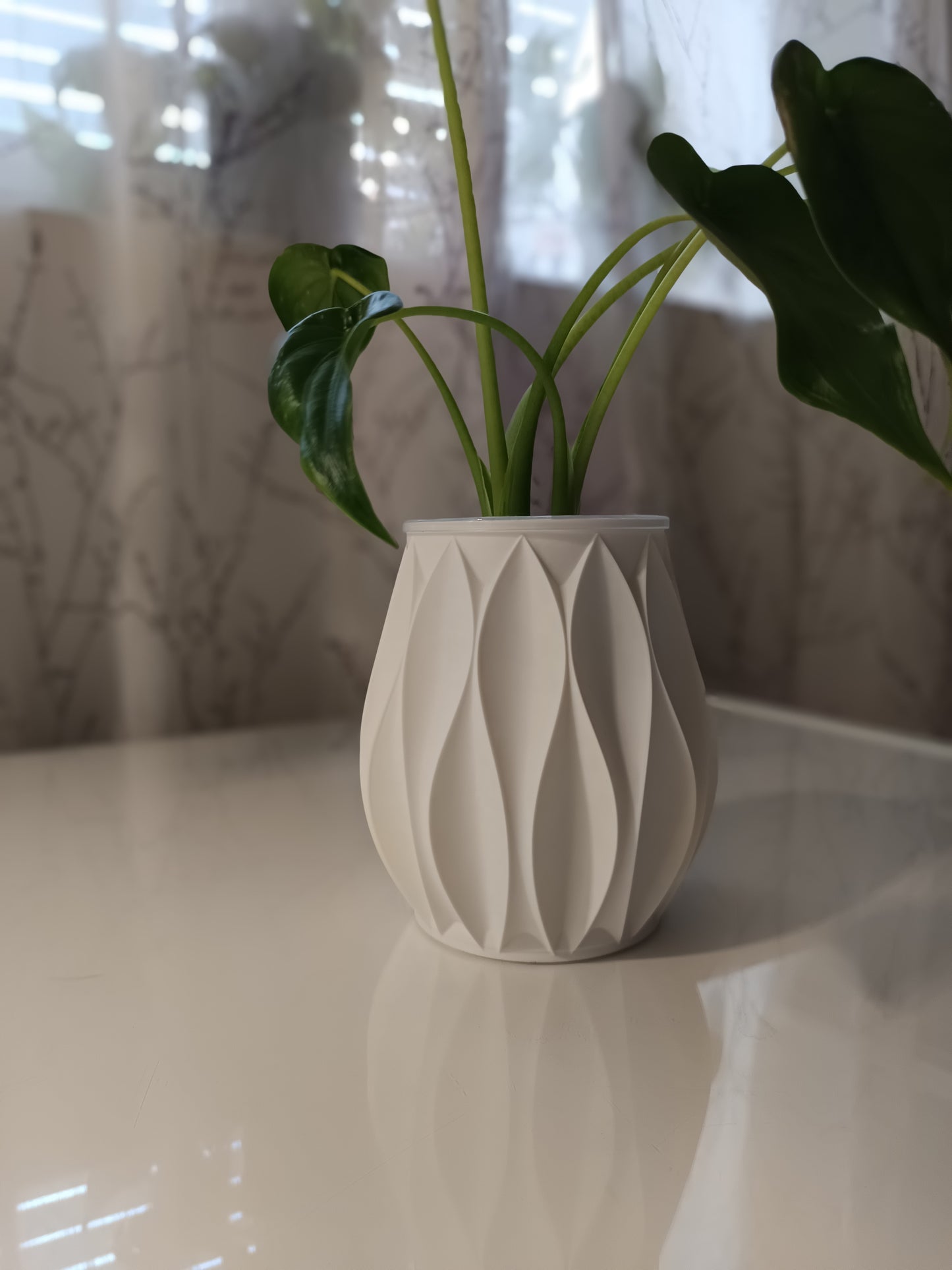 NestPot – Decorative Cage Cover for Aroid Nursery Pots