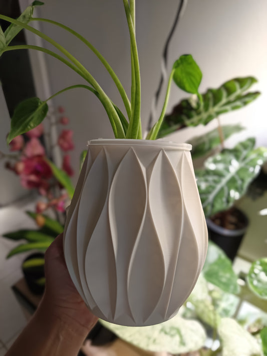 NestPot – Decorative Cage Cover for Aroid Nursery Pots