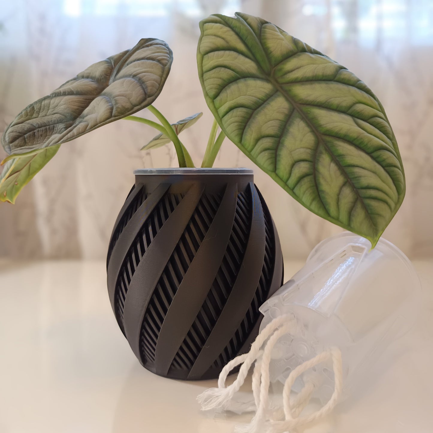 NestPot – Decorative Cage Cover for Aroid Nursery Pots