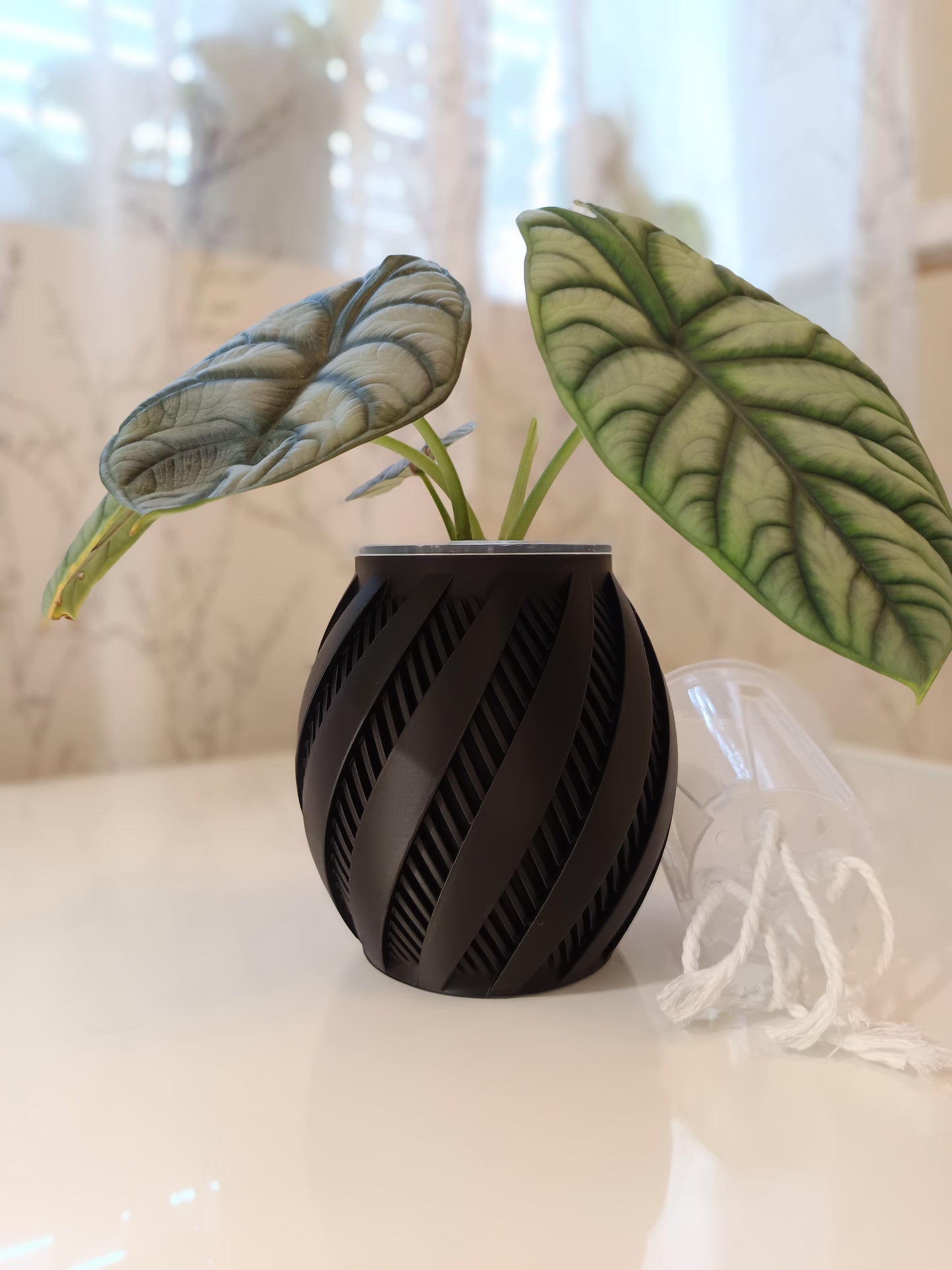 NestPot – Decorative Cage Cover for Aroid Nursery Pots