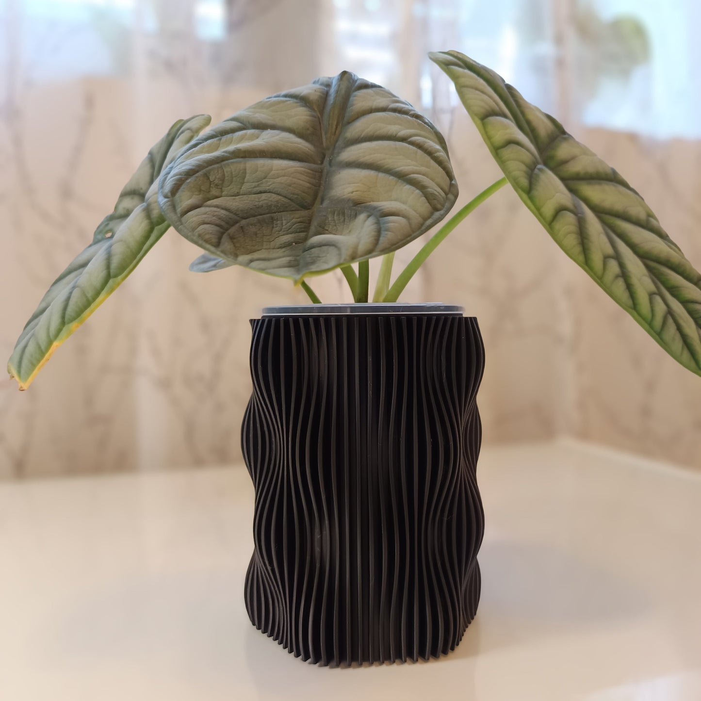 NestPot – Decorative Cage Cover for Aroid Nursery Pots