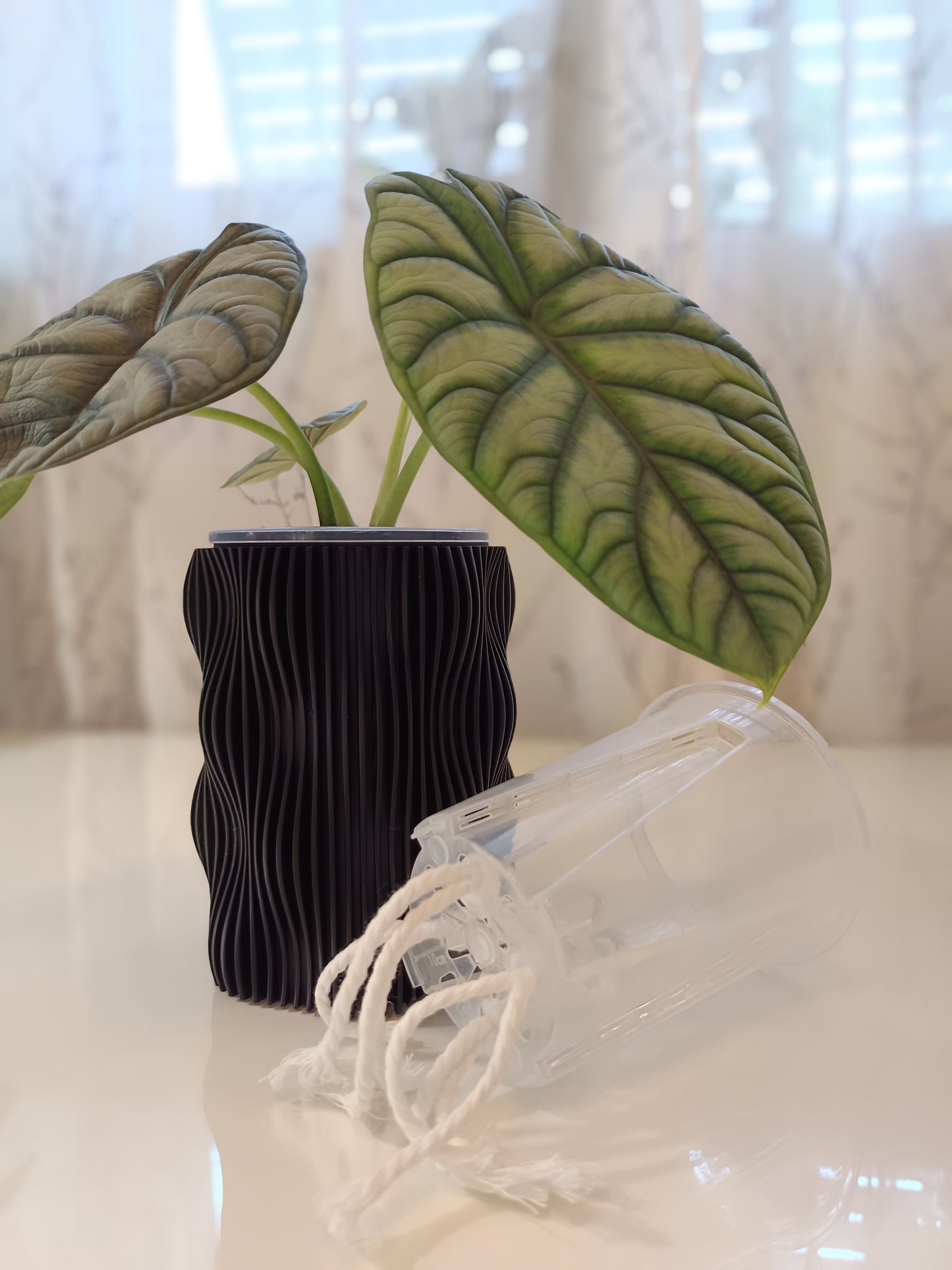 NestPot – Decorative Cage Cover for Aroid Nursery Pots