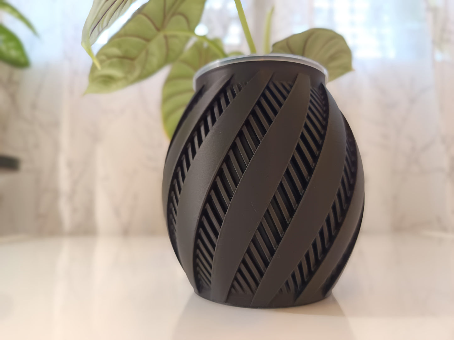 NestPot – Decorative Cage Cover for Aroid Nursery Pots