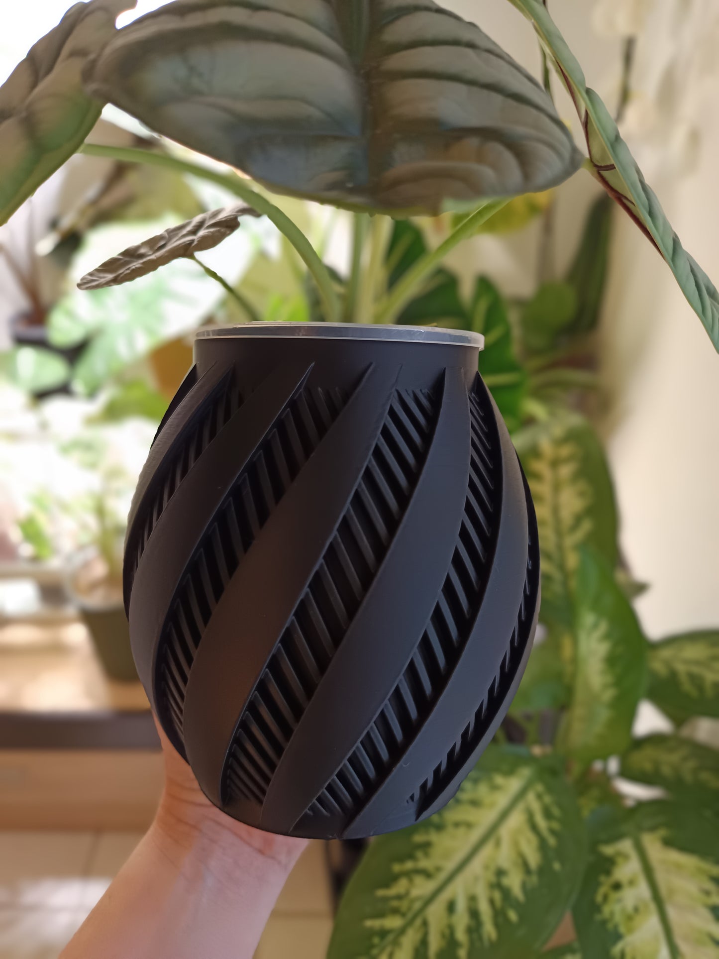 NestPot – Decorative Cage Cover for Aroid Nursery Pots