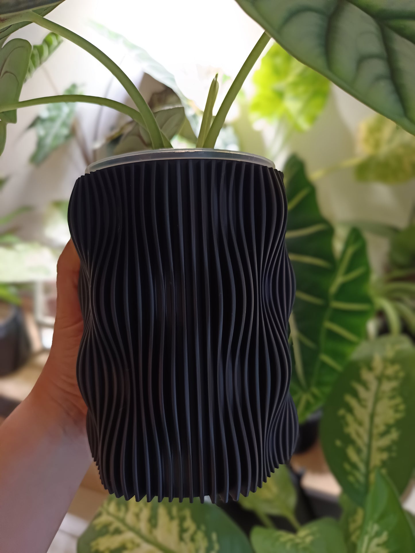 NestPot – Decorative Cage Cover for Aroid Nursery Pots