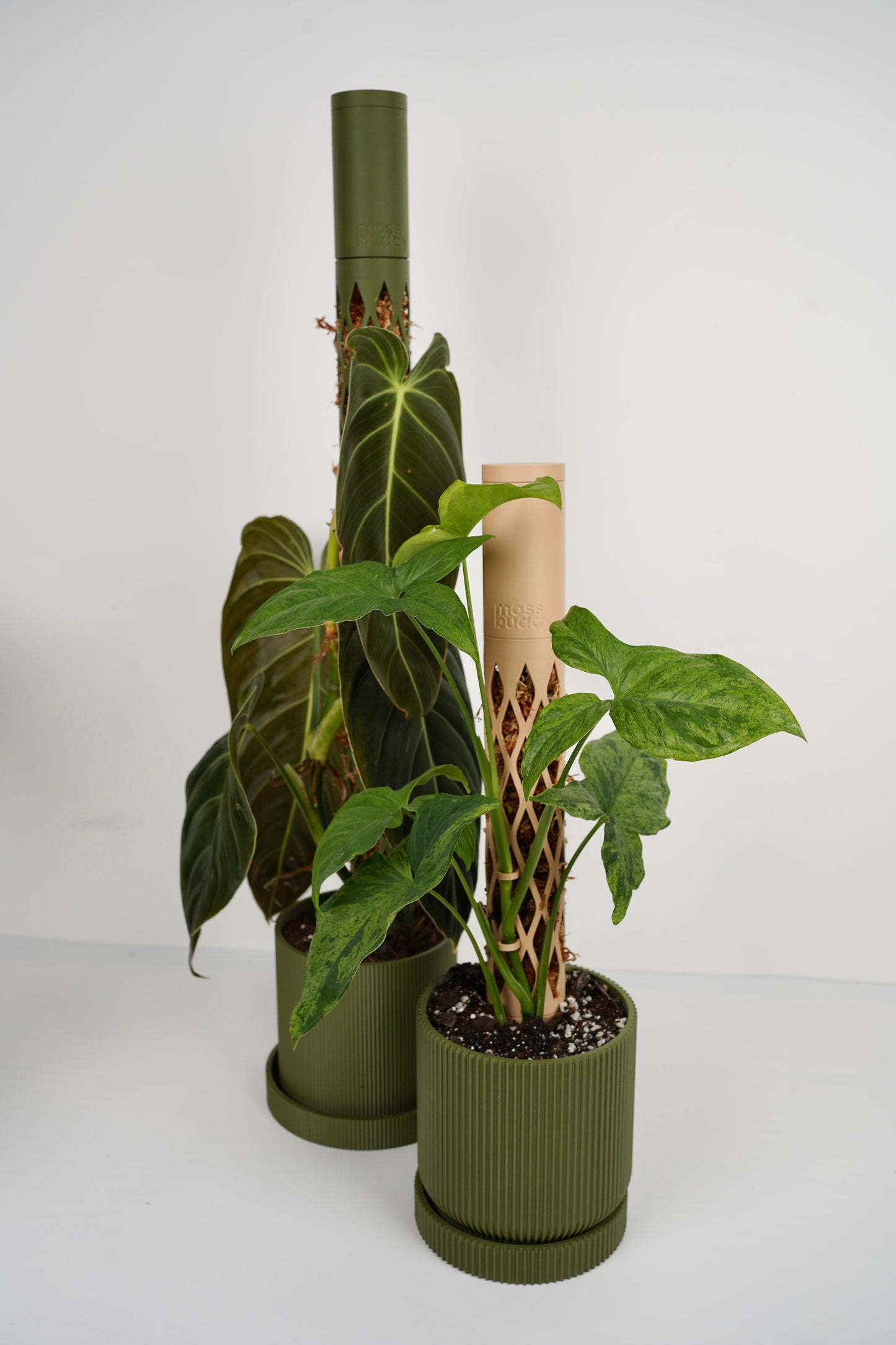 Modular Moss Pole – Sustainable PLA Support for Climbing Plants 🌿