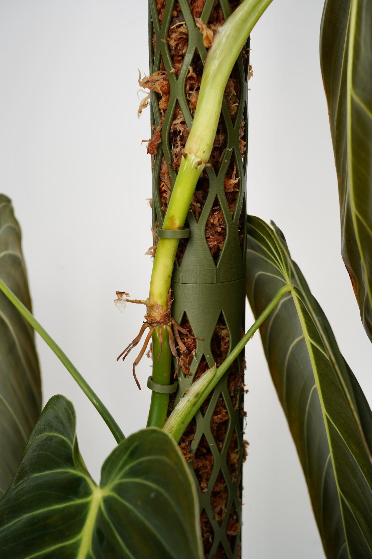 Modular Moss Pole – Sustainable PLA Support for Climbing Plants 🌿