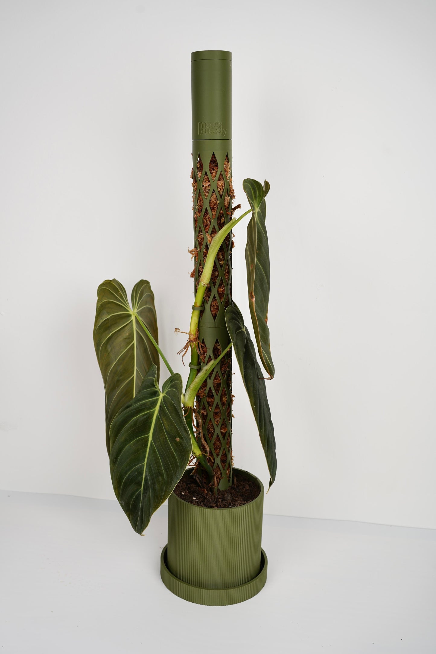 Modular Moss Pole – Sustainable PLA Support for Climbing Plants 🌿