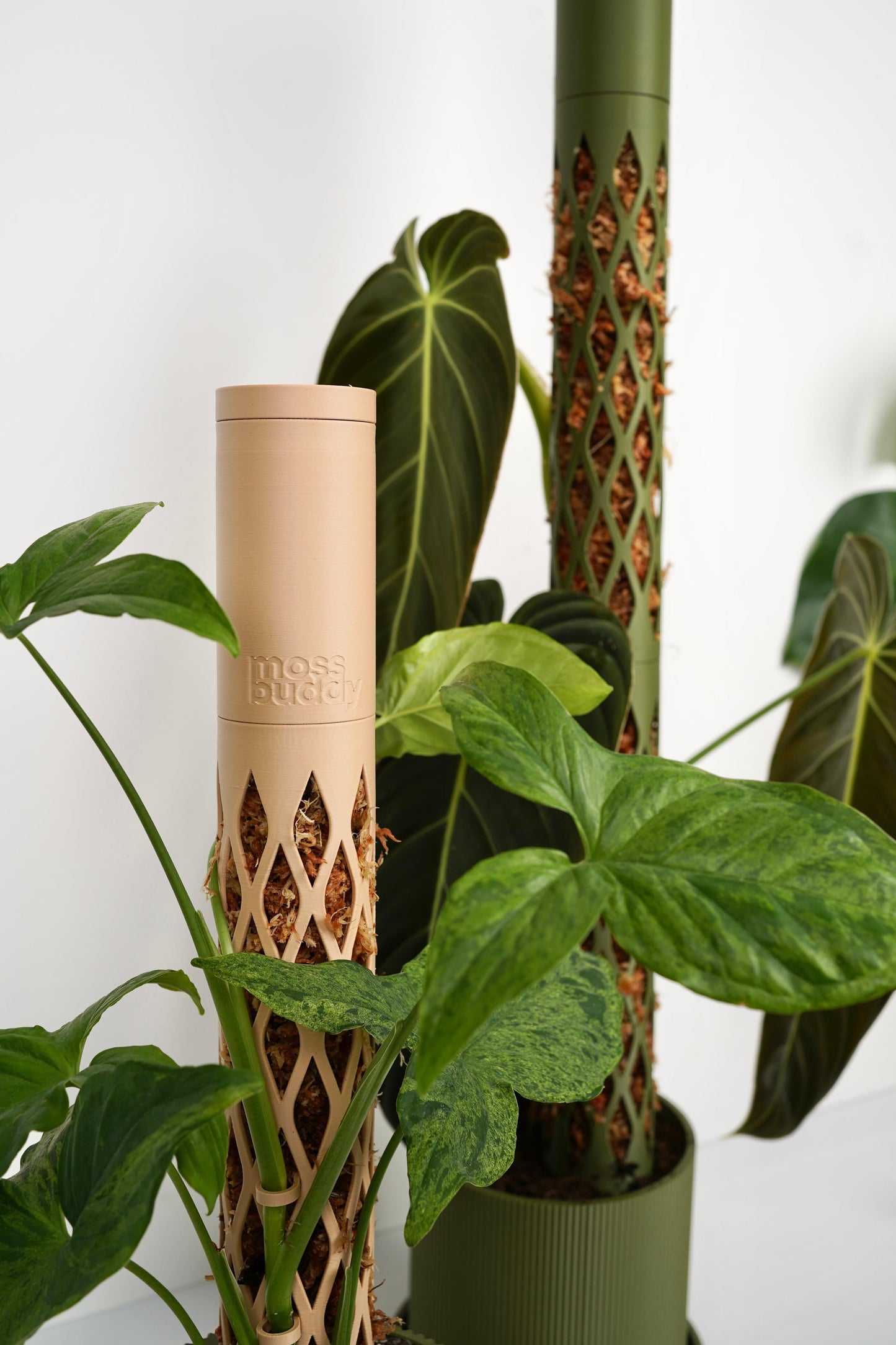 Modular Moss Pole – Sustainable PLA Support for Climbing Plants 🌿