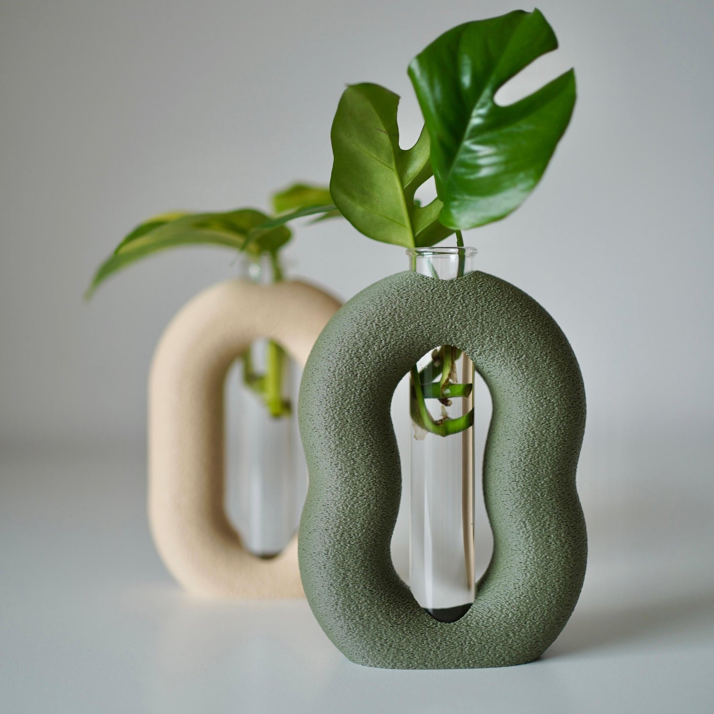 OVALINEO plant propagation vase set I test tube holder