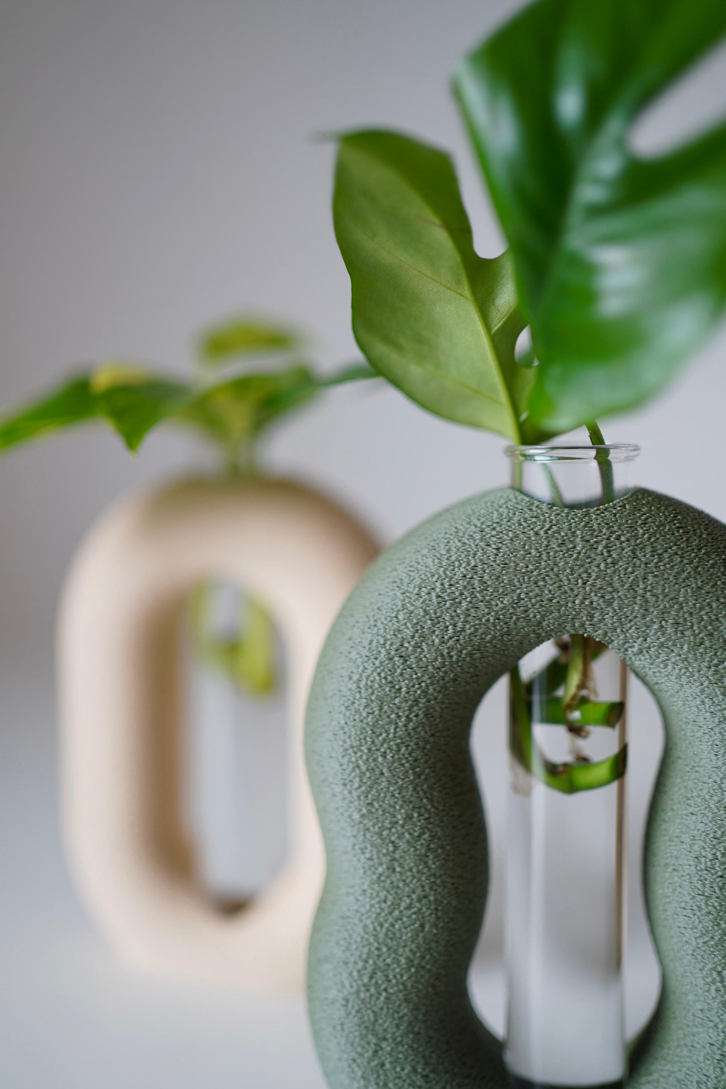 OVALINEO plant propagation vase set I test tube holder