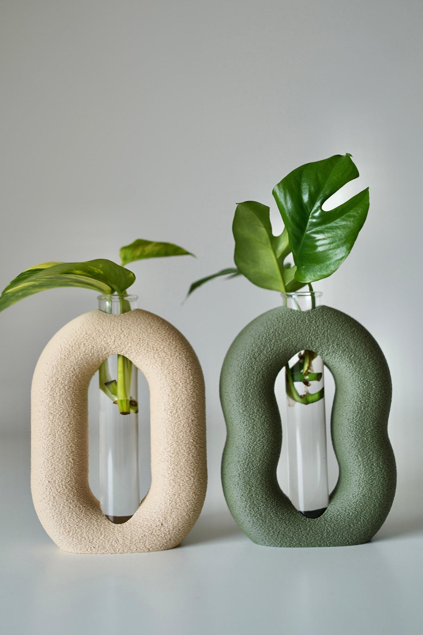 OVALINEO plant propagation vase set I test tube holder