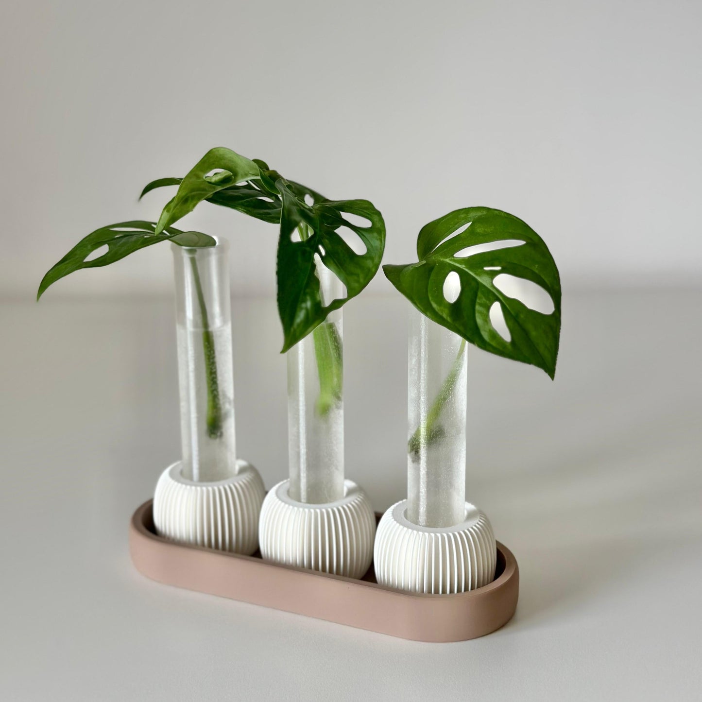 🌸 LUME Propagation Station