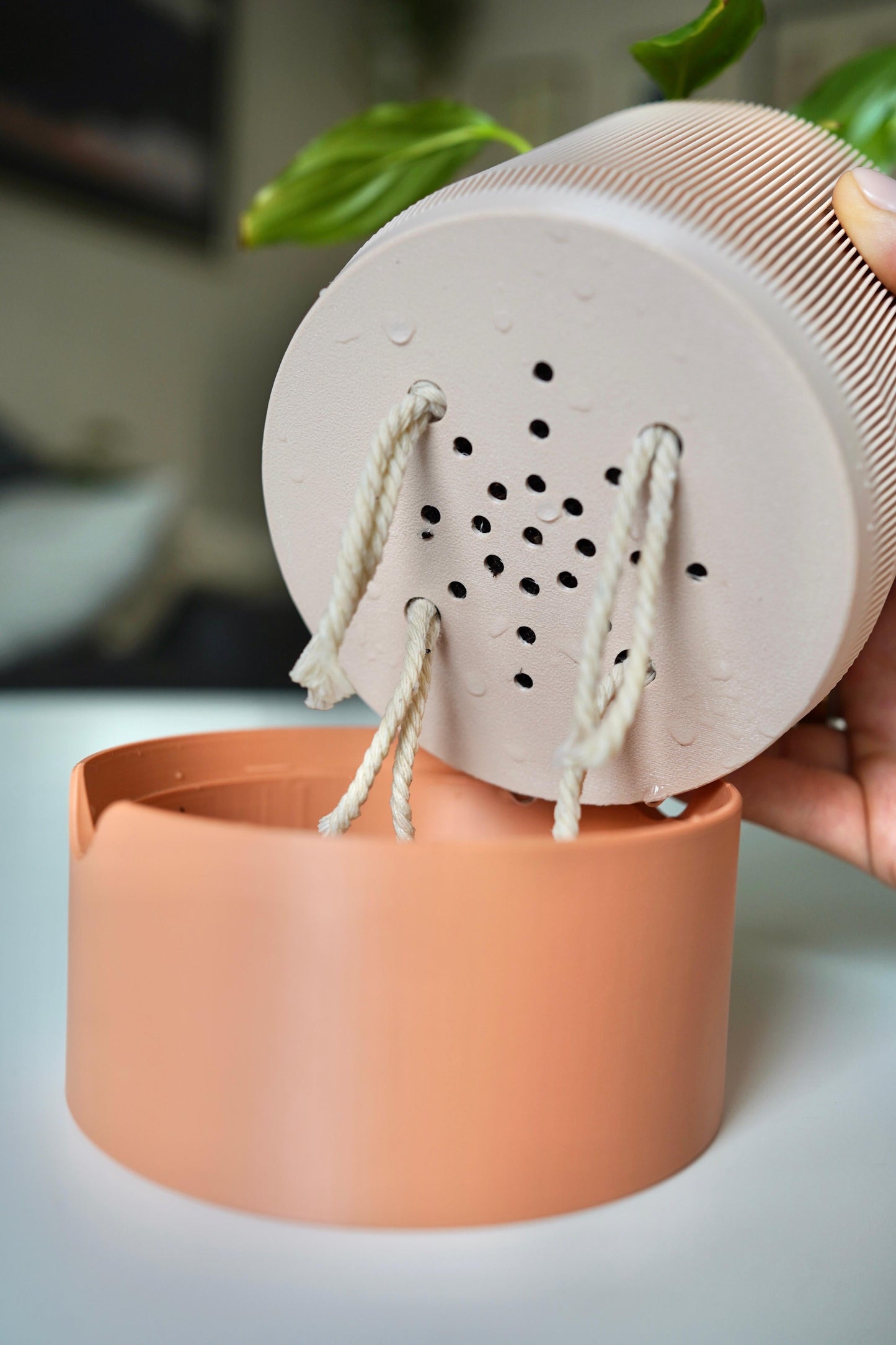 RILLIA Self-Watering Planter