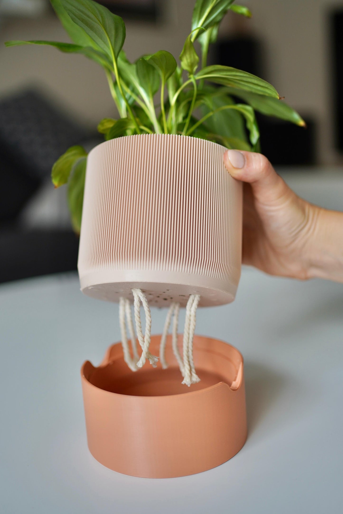 RILLIA Self-Watering Planter