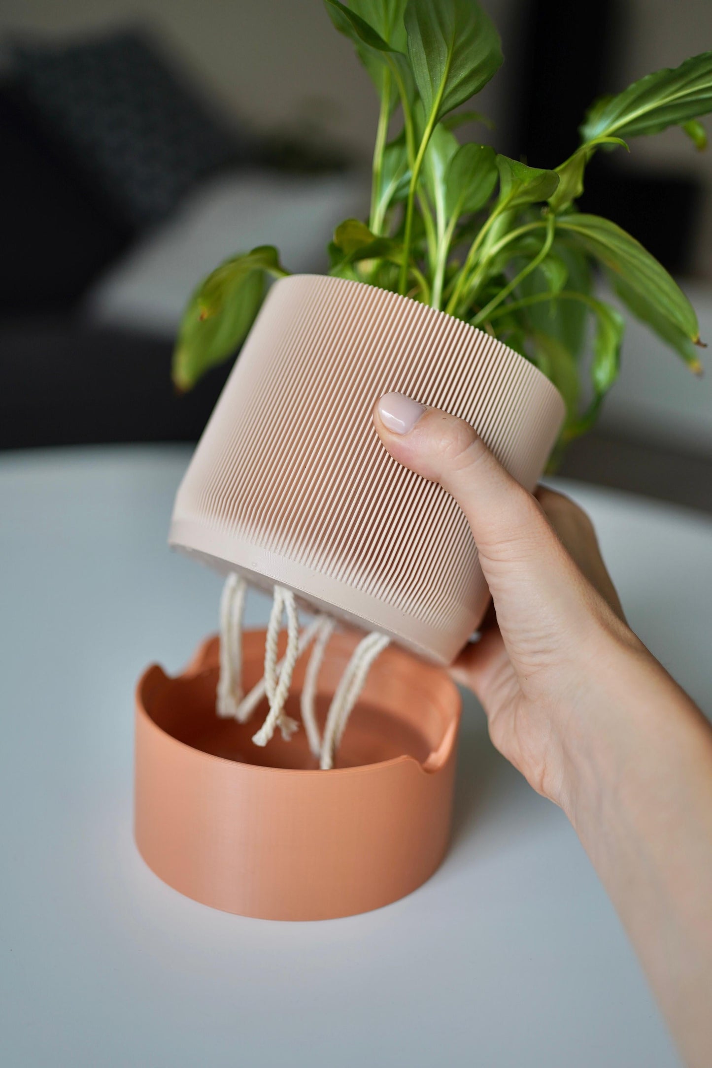 RILLIA Self-Watering Planter