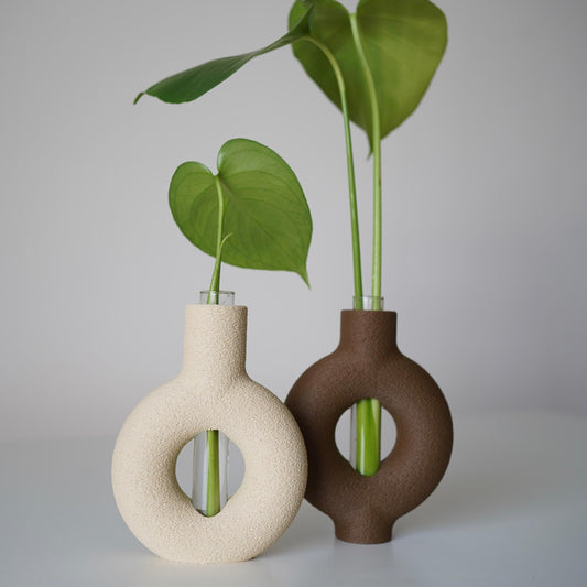 RINGIA Modern Circle Vase – Minimalist Plant Propagation Station-Set of 2 Propagation Vases