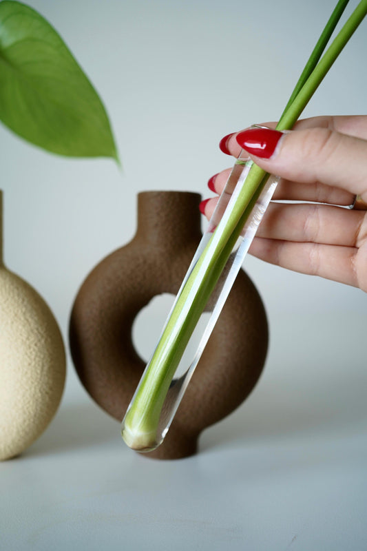 RINGIA Modern Circle Vase – Minimalist Plant Propagation Station-Set of 2 Propagation Vases