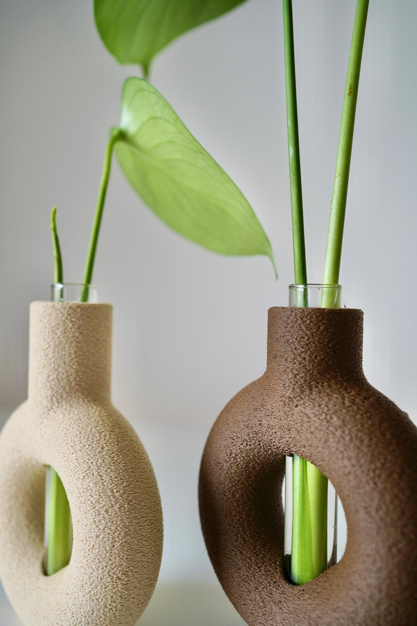 RINGIA Modern Circle Vase – Minimalist Plant Propagation Station-Set of 2 Propagation Vases