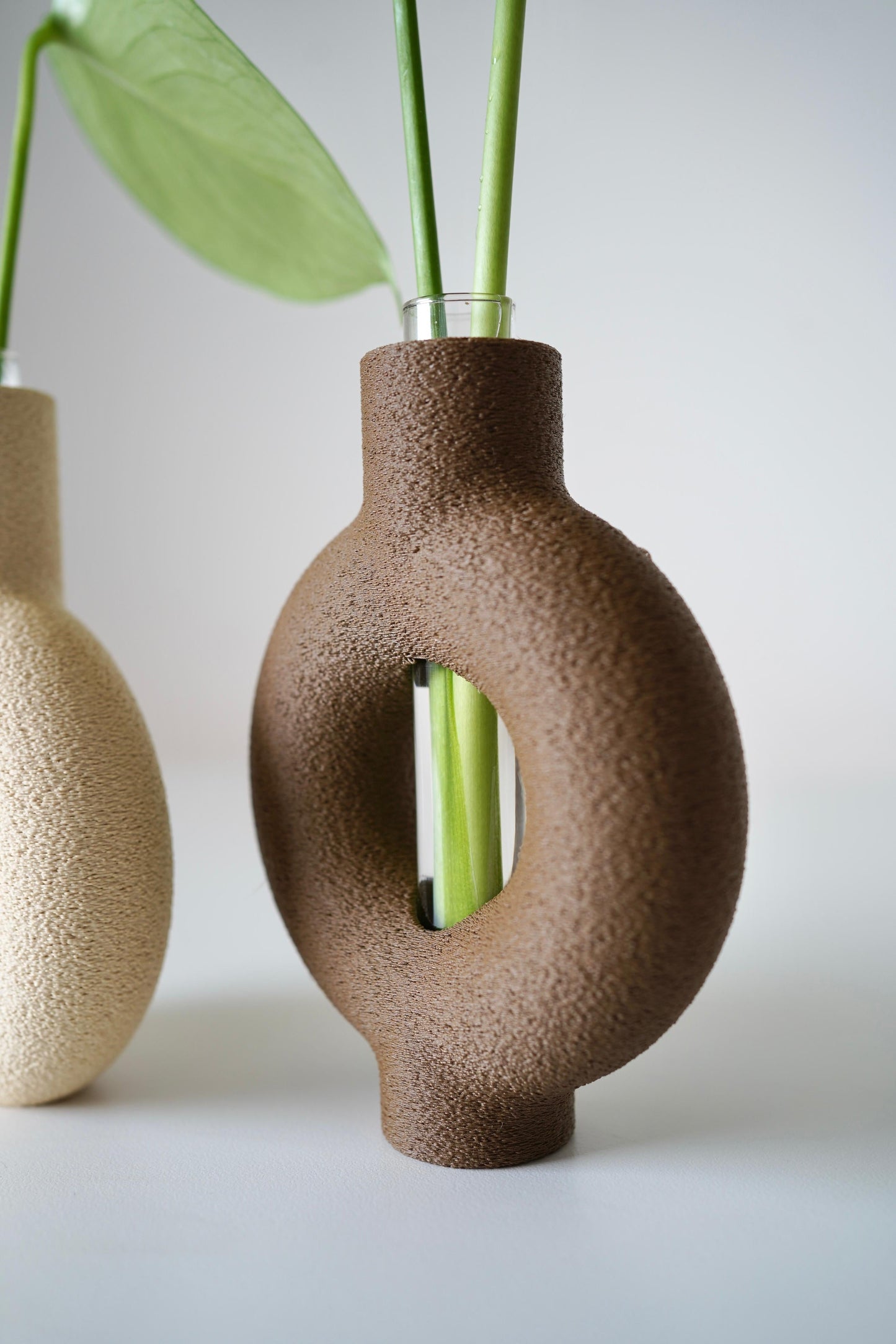 RINGIA Modern Circle Vase – Minimalist Plant Propagation Station-Set of 2 Propagation Vases