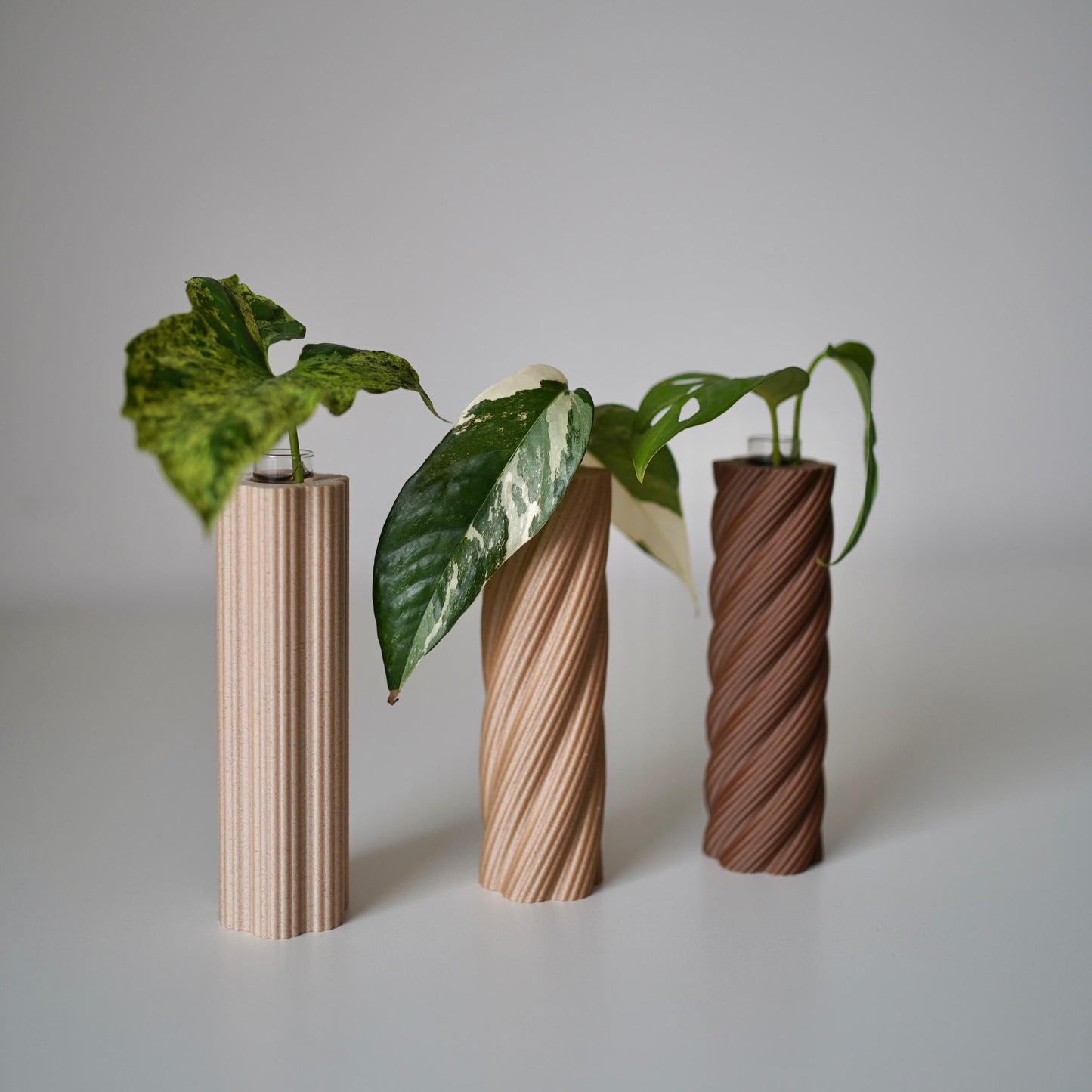 ROOTSY plant propagation tube vases