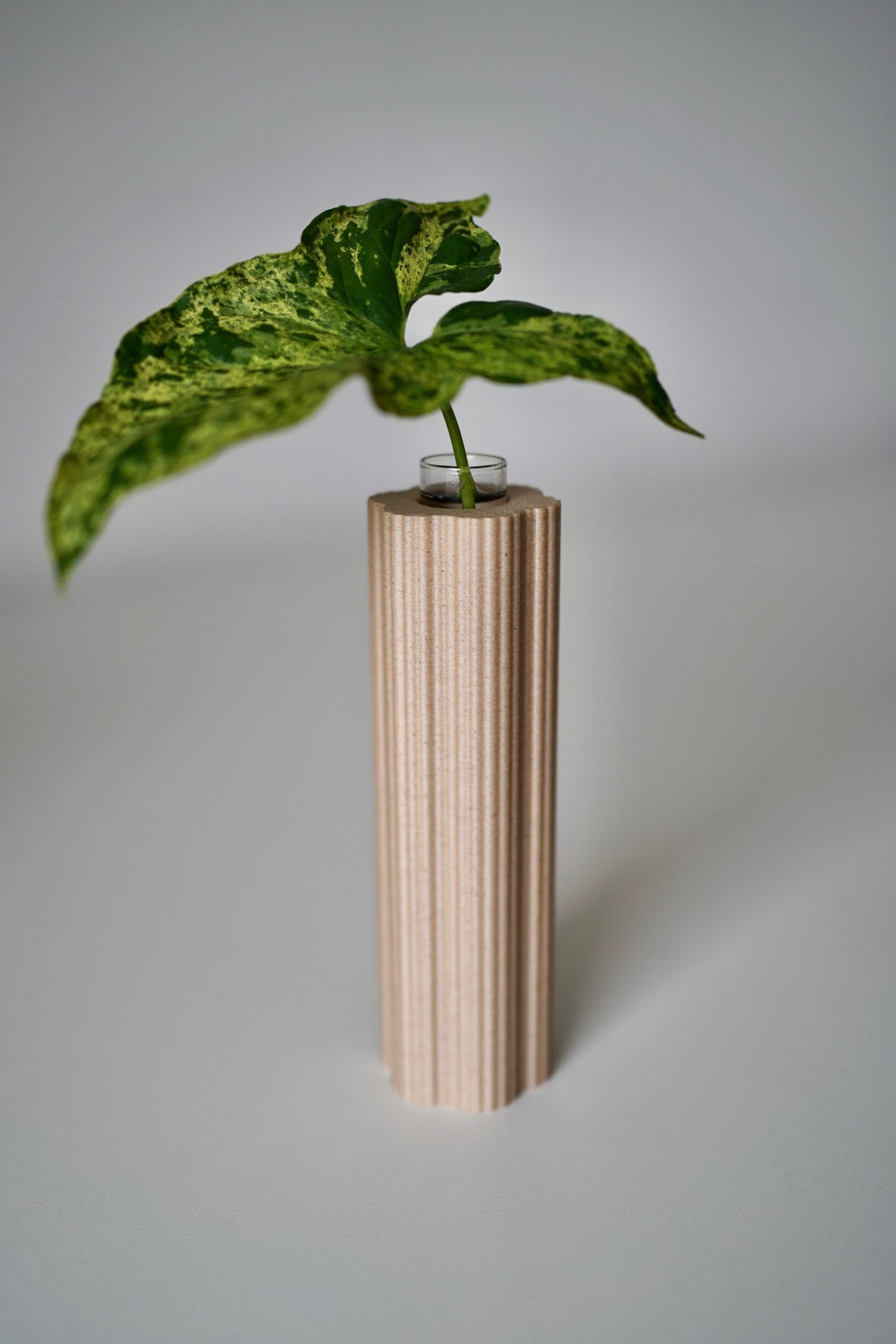 ROOTSY plant propagation tube vases