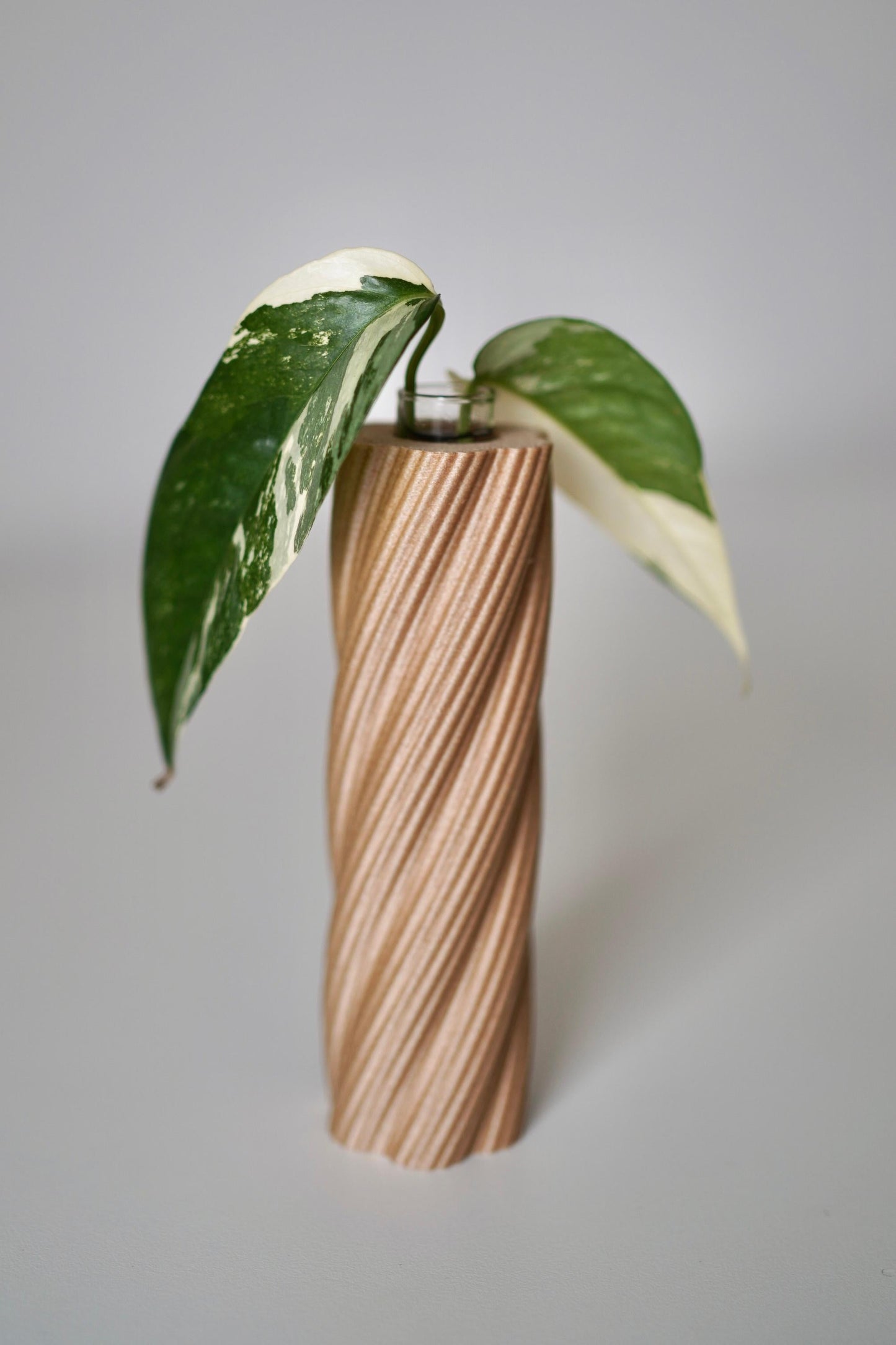 ROOTSY plant propagation tube vases