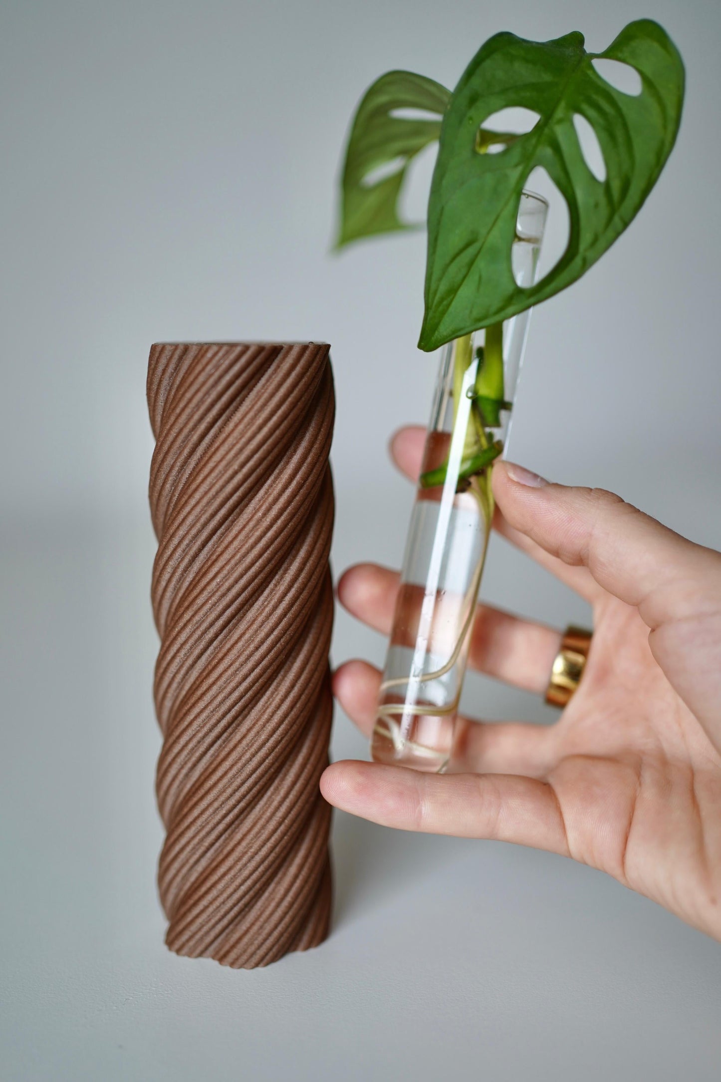 ROOTSY plant propagation tube vases